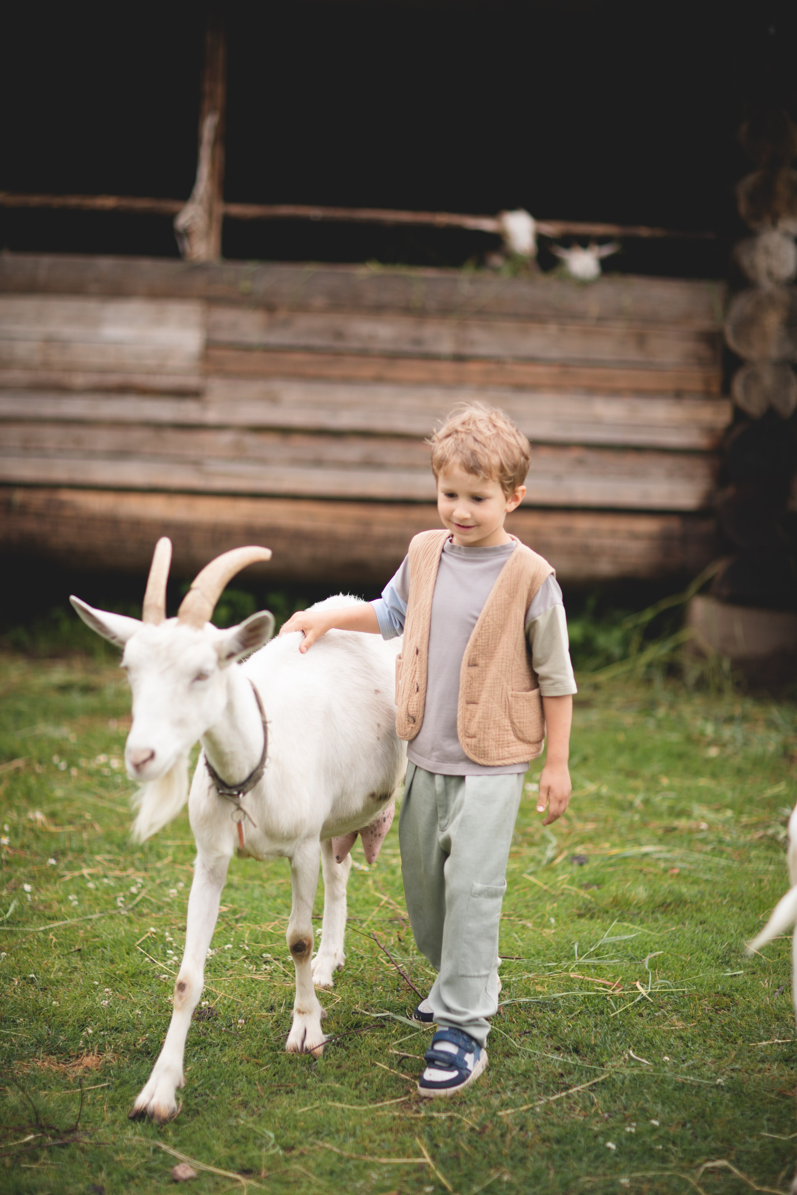 Фототуур «Край озёр» Лето. Семейный фотограф в Москве Анастасия Гурьянова