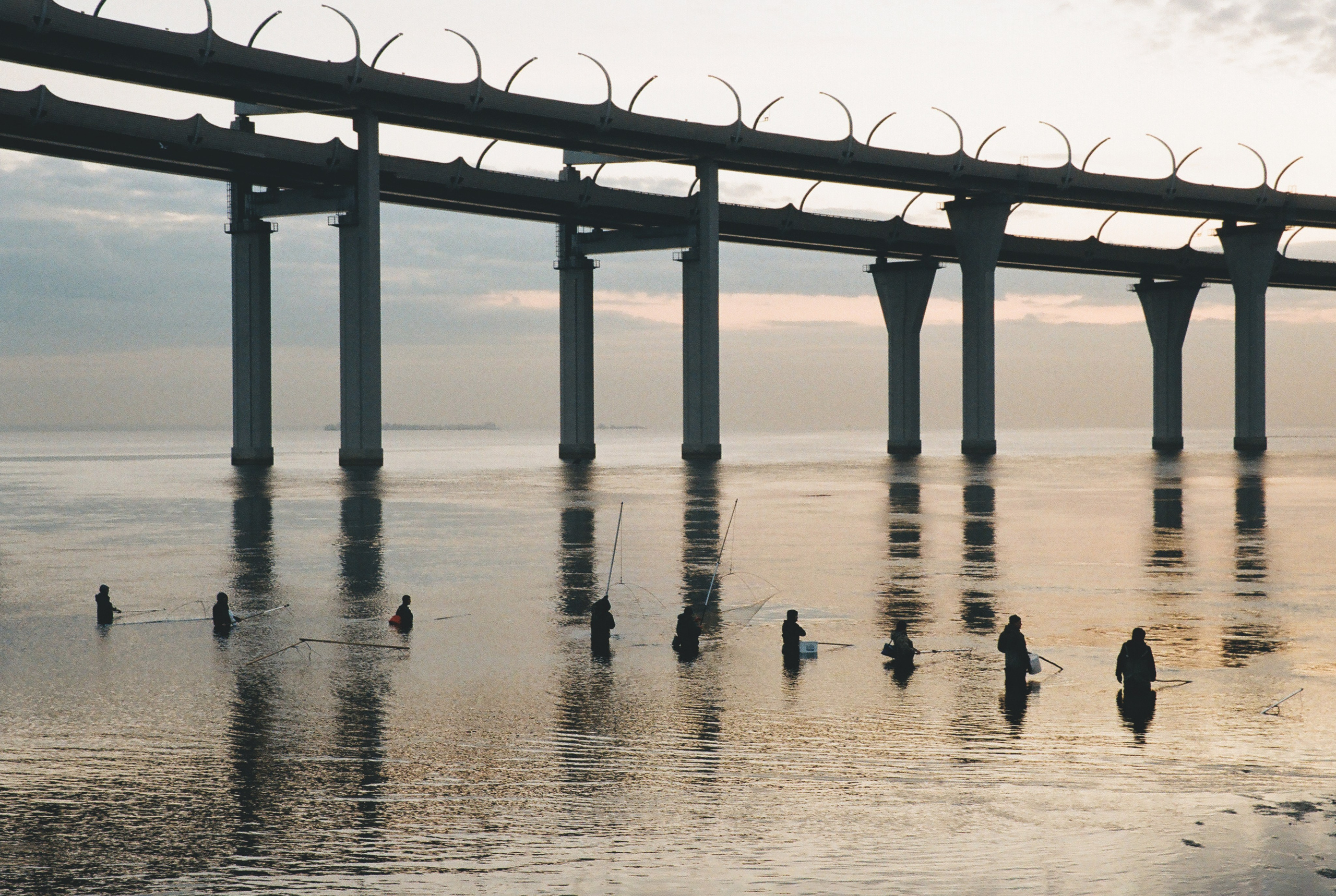 Фотографии цветные. Свадебный и семейный пленочный фотограф в Петербурге Истомина Ирина