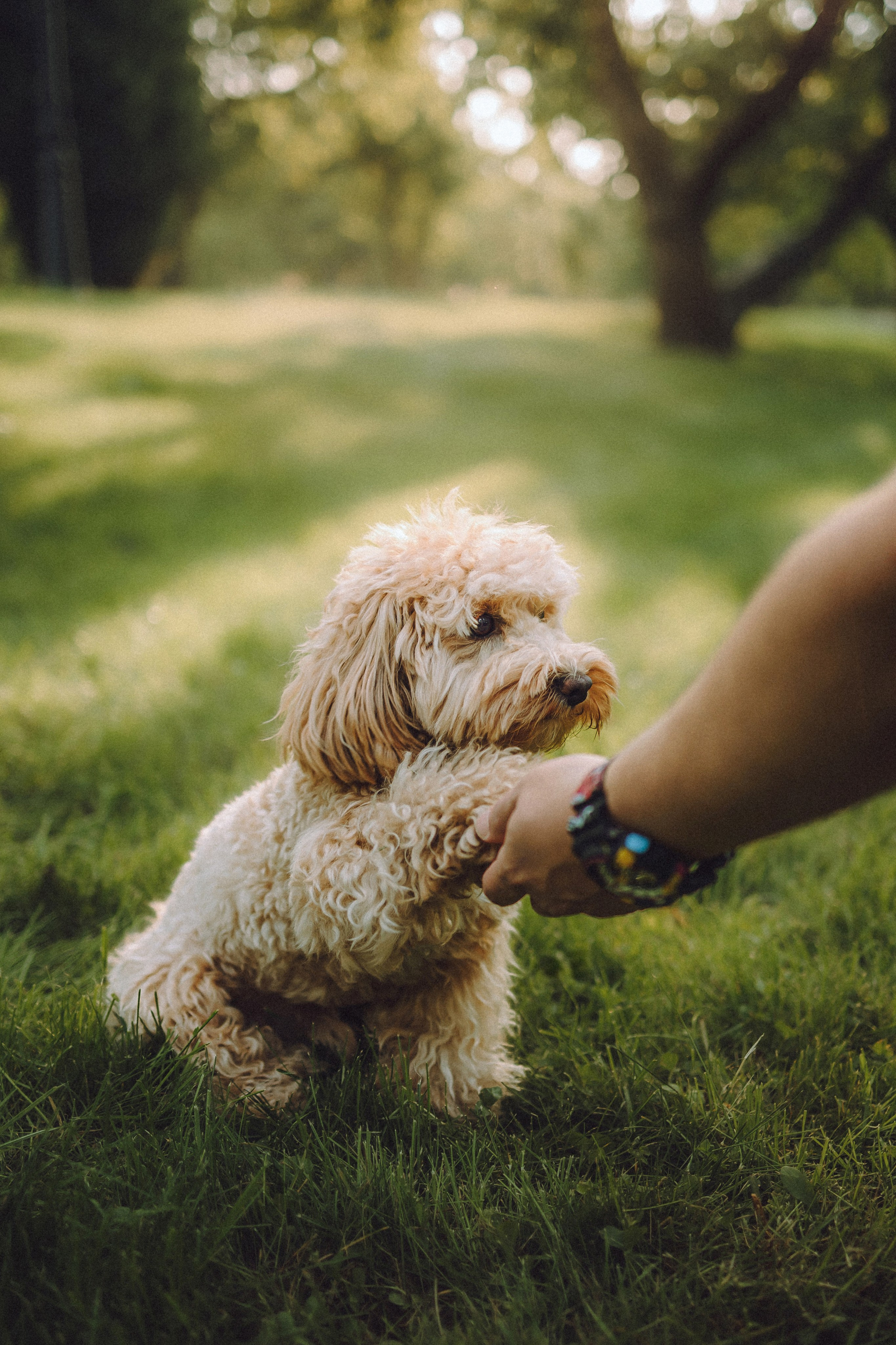 Фред и его семья