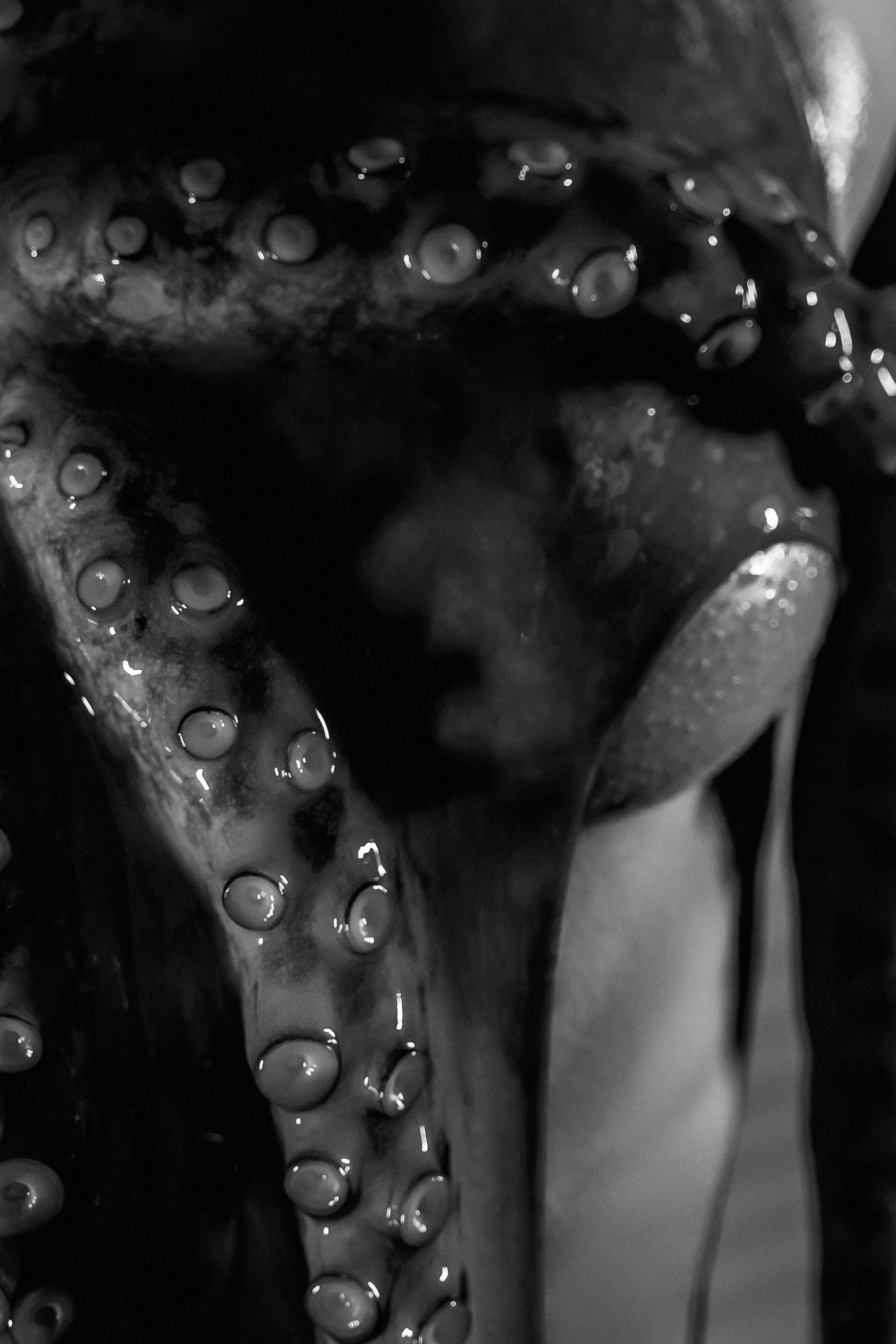 Art. Фотограф и видеограф в Москве Мария Малкич