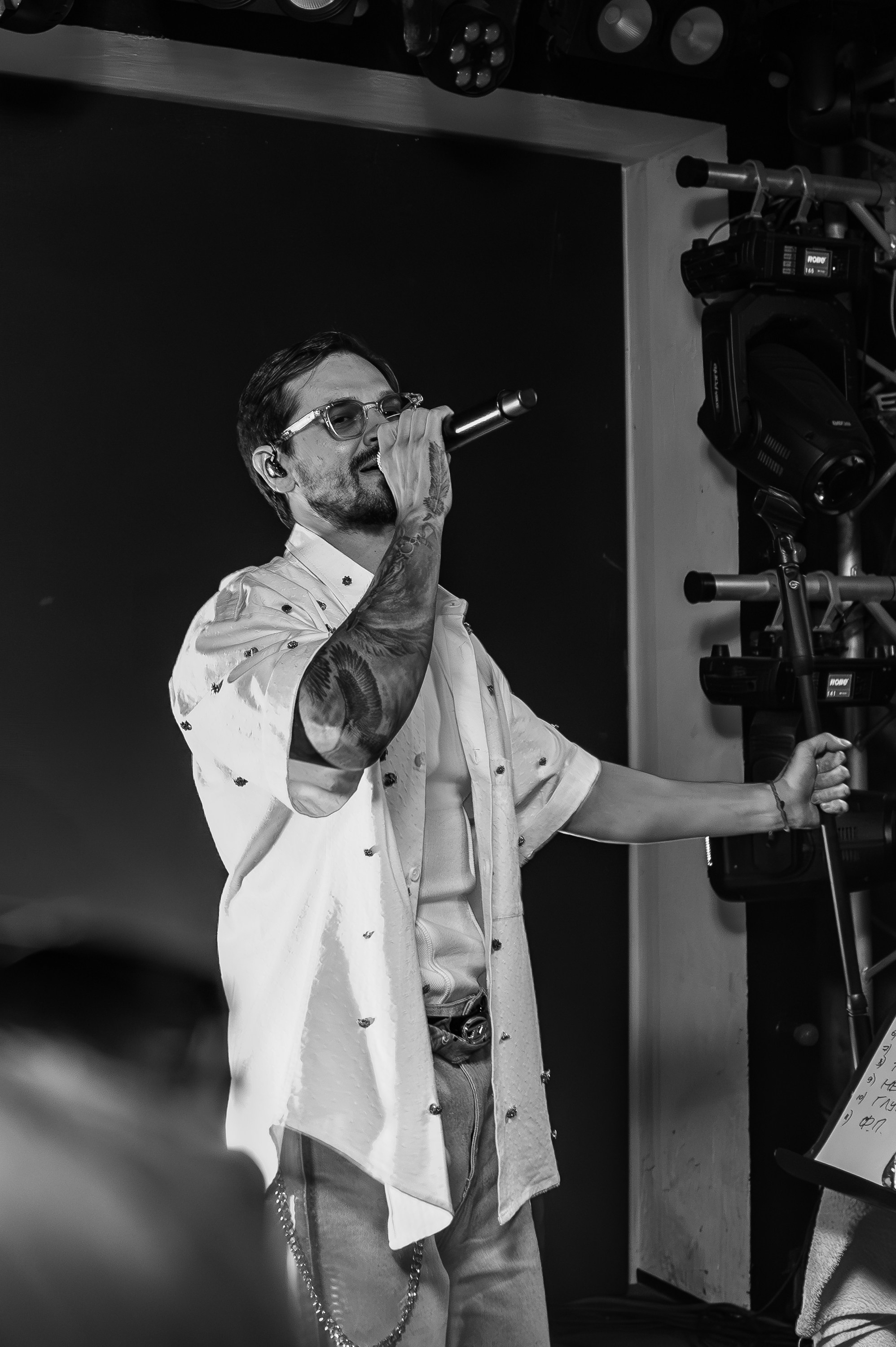 «МИША МАРВИН"_Чайка на пляже_Ялта_14.06.2025. Аминов Руслан | Фотограф