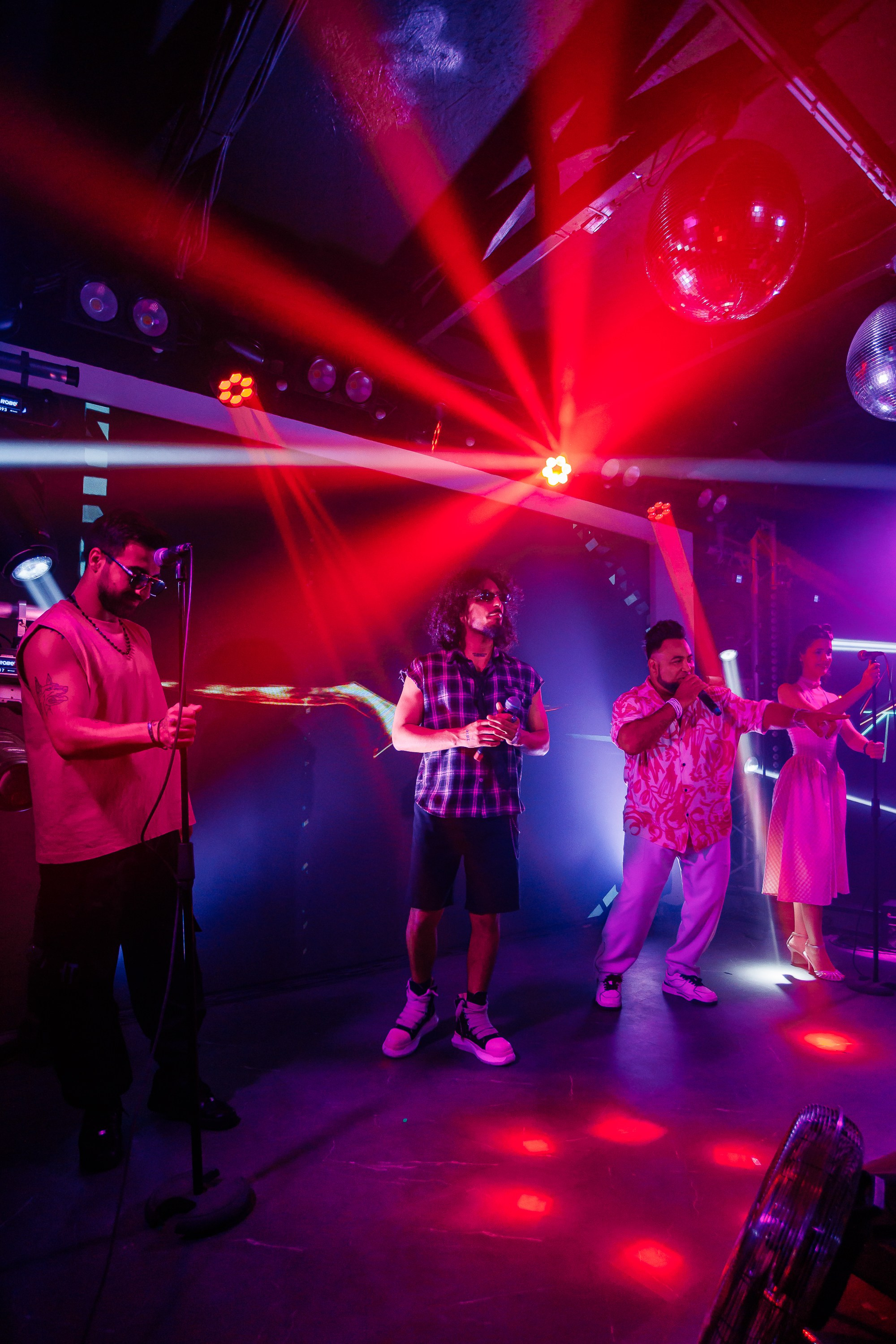 «LYRIQ"_Чайка на пляже_Ялта_15.08.2025 г. Аминов Руслан | Фотограф