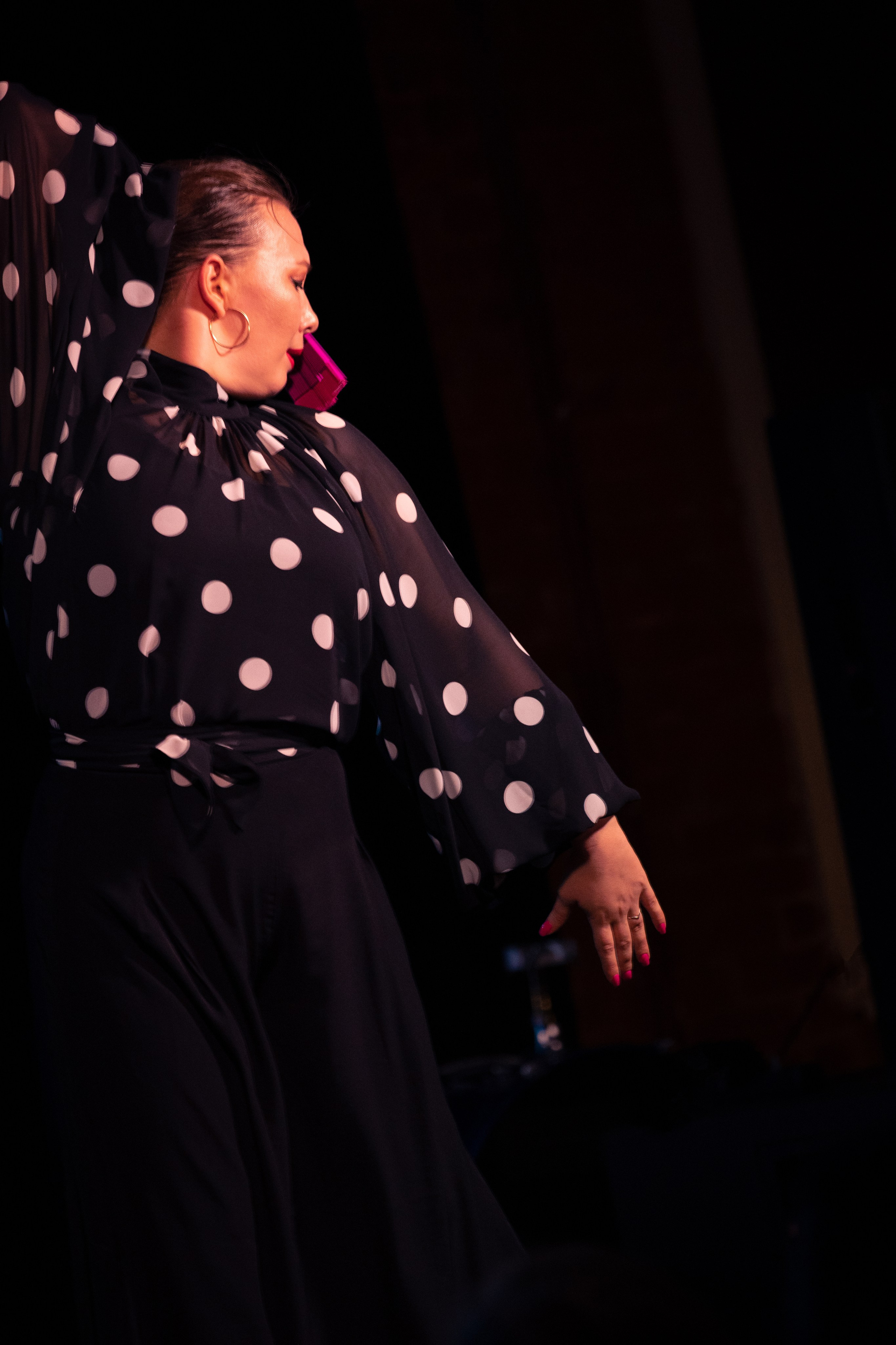 Flamenco 02.01.2025. Индивидуальные съемки, портретный фотограф