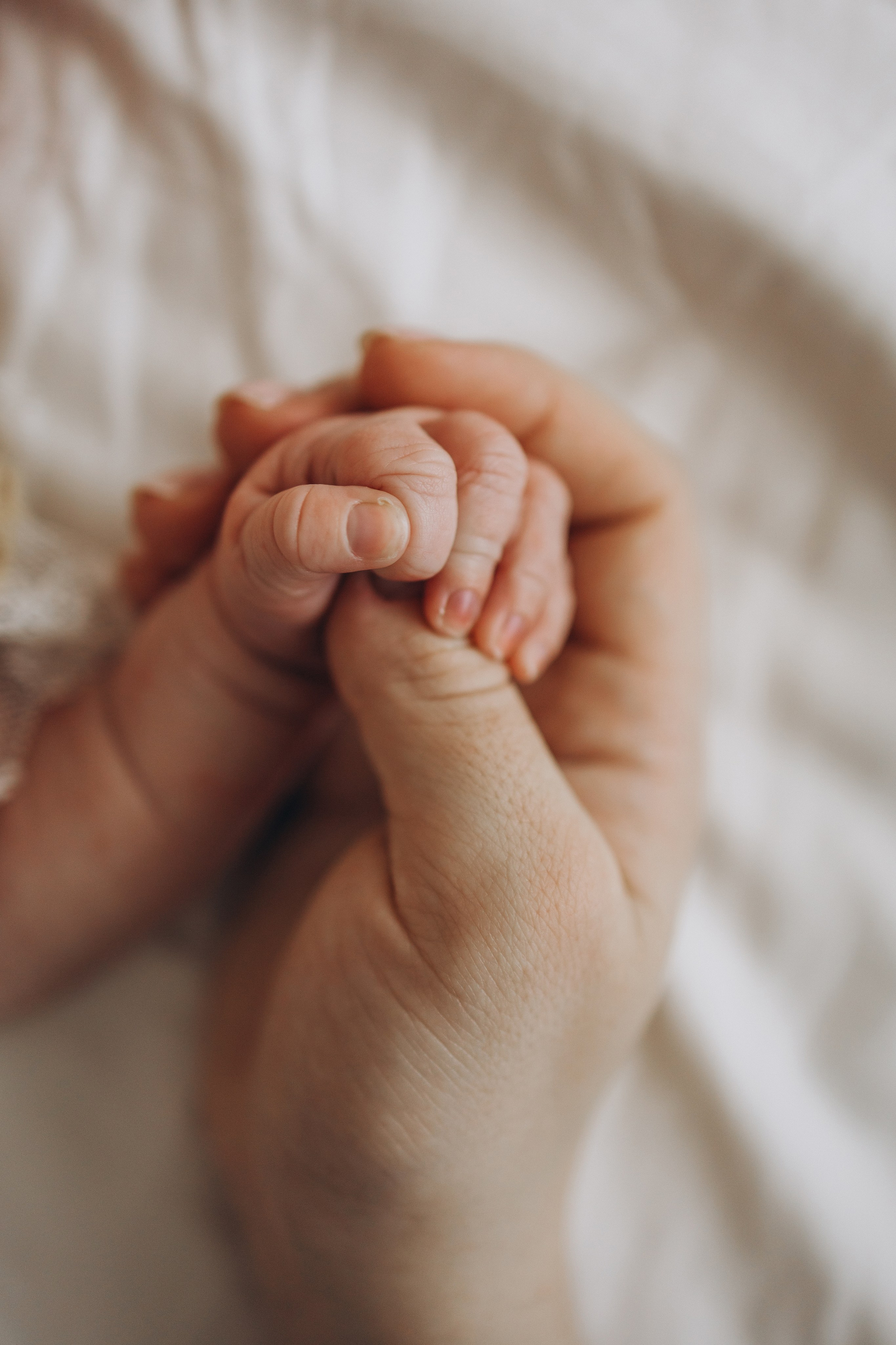 Мария. Фотограф новорождённых Newborn Москва