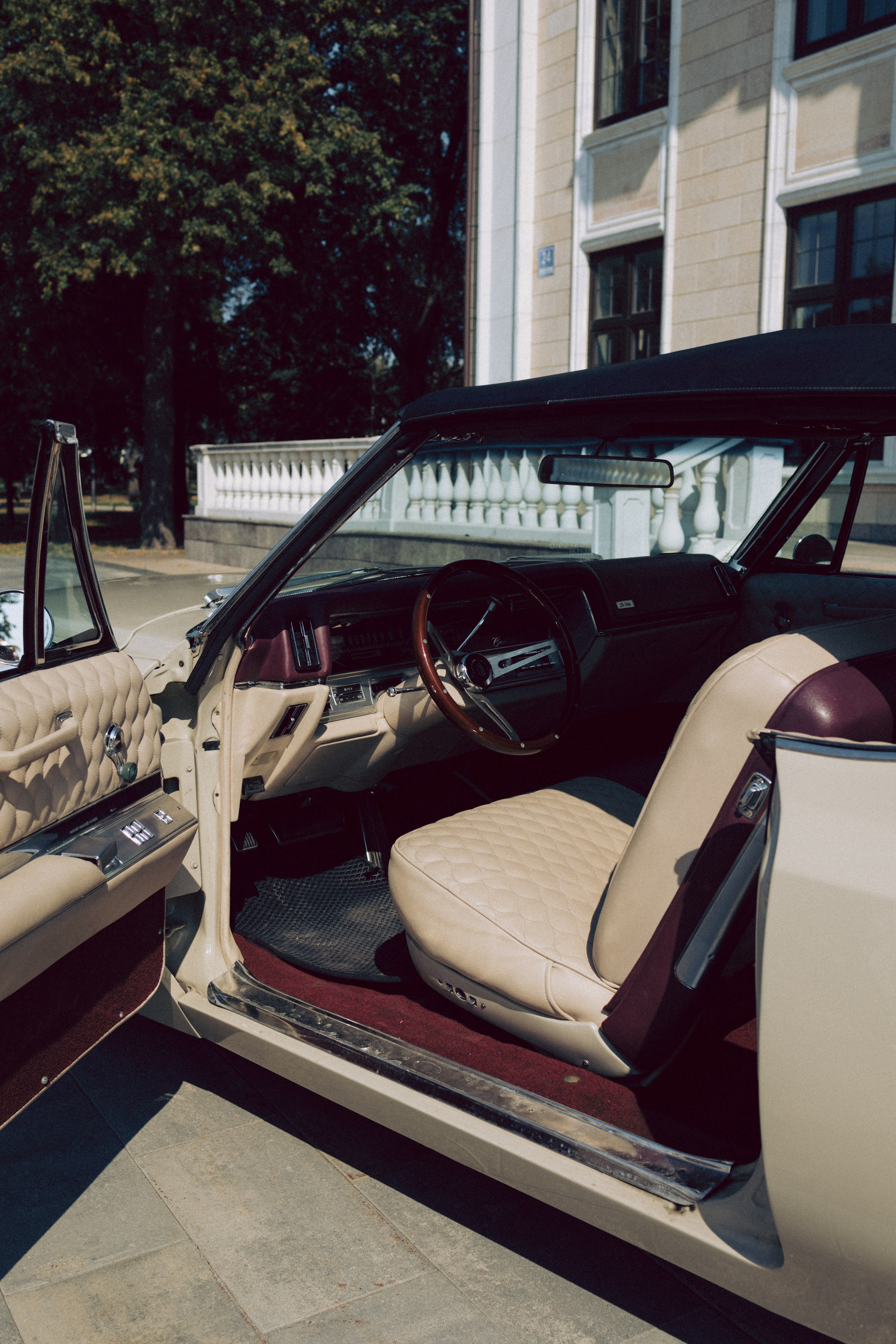 Regina. Дарья Скворцова