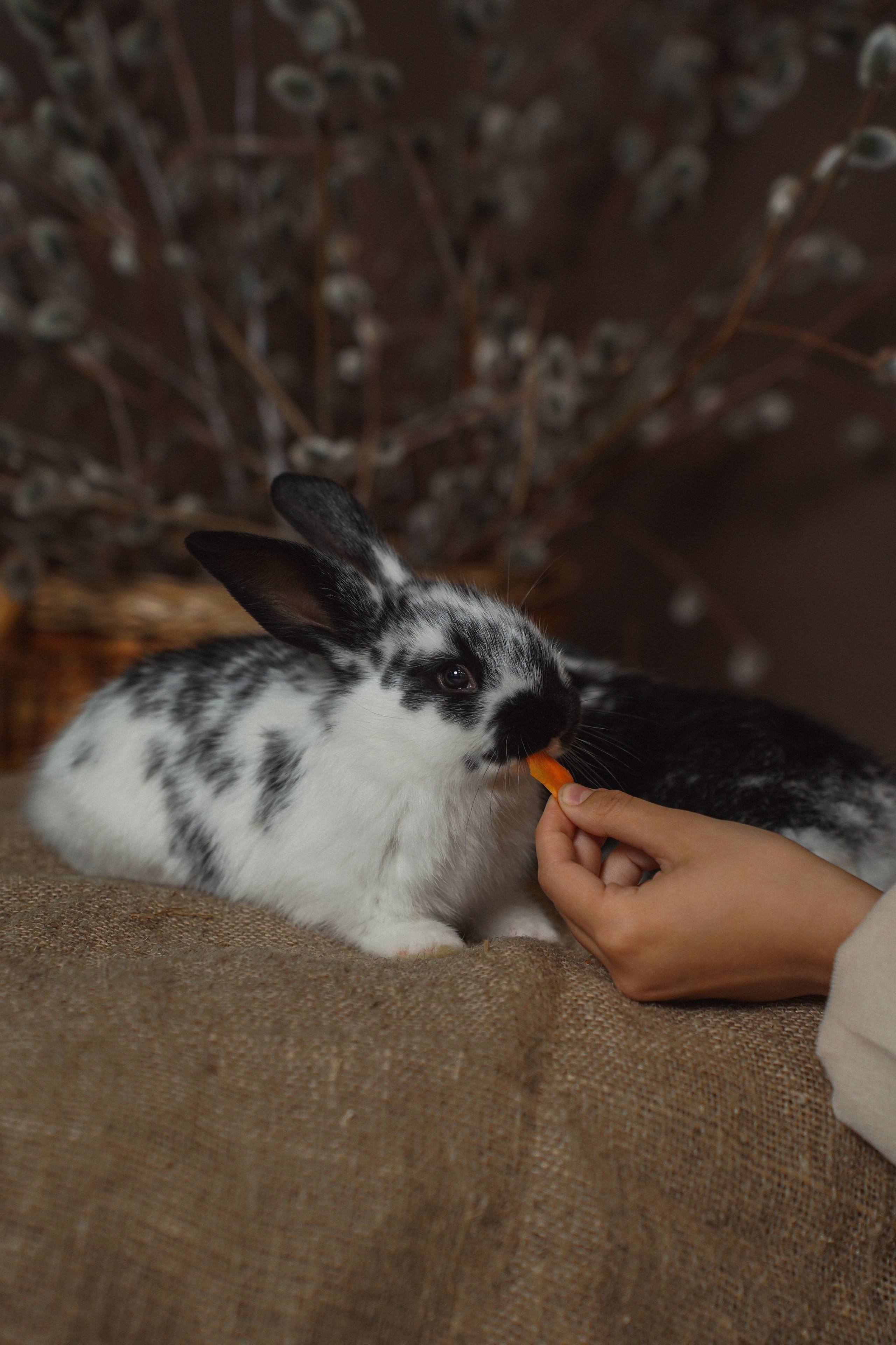 Пасхальный фотопроект. Фотограф Иркутск / Хомутово