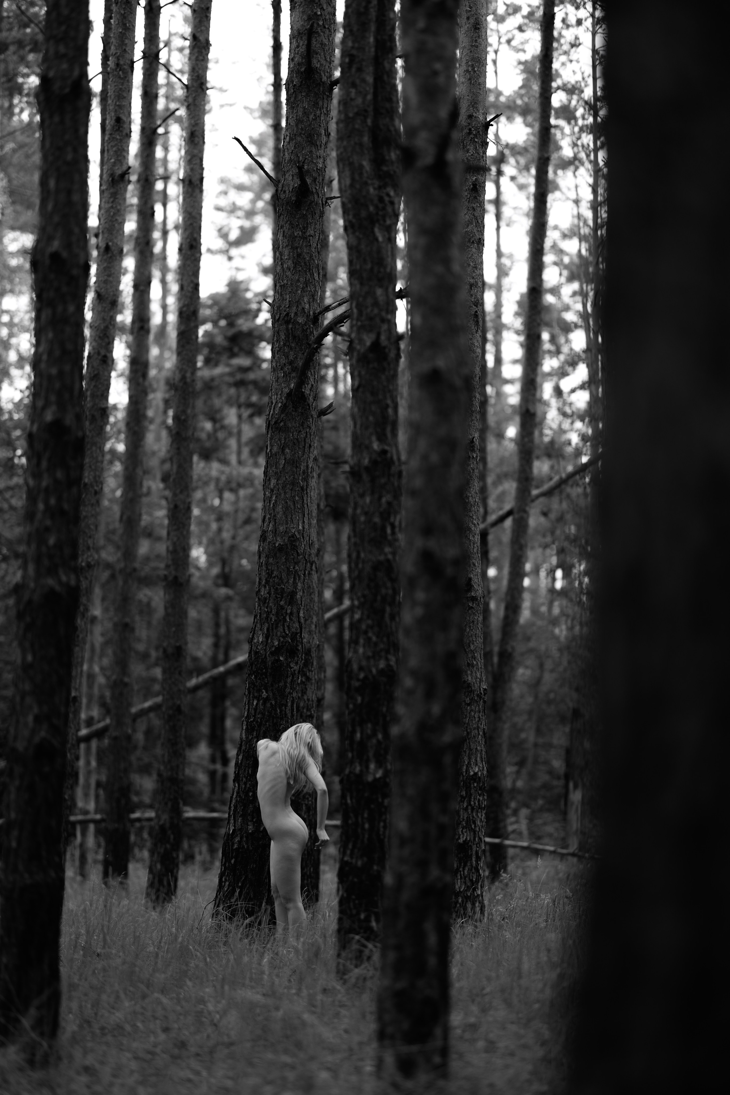 Портфолио. Kotikov Oleg