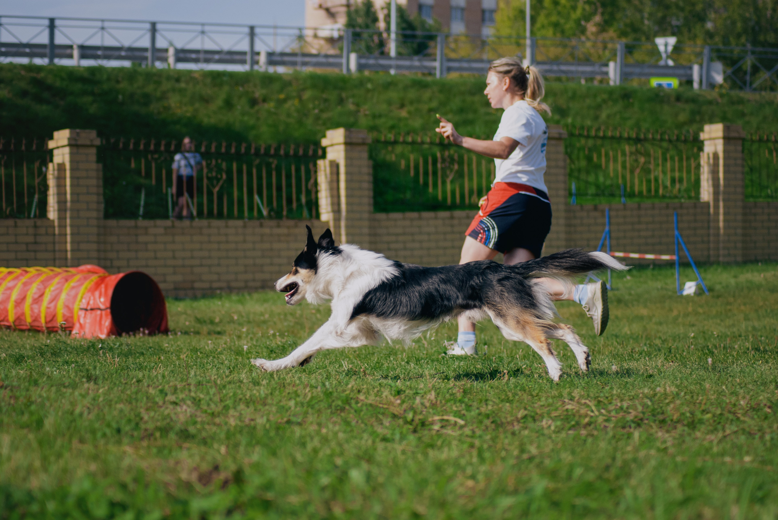 Аджилити. Фотограф в Тюмени Лизавета Сапицкая