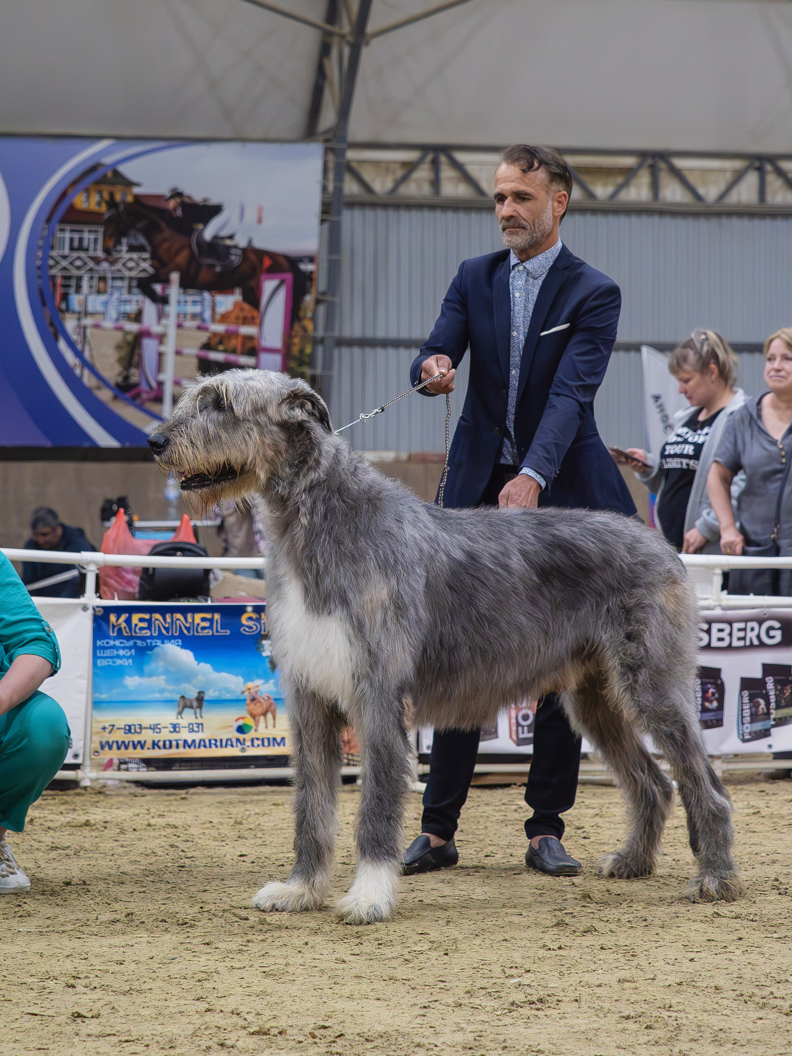 Репортажная съемка выставок. Фотограф анималист Тюгаева Мария