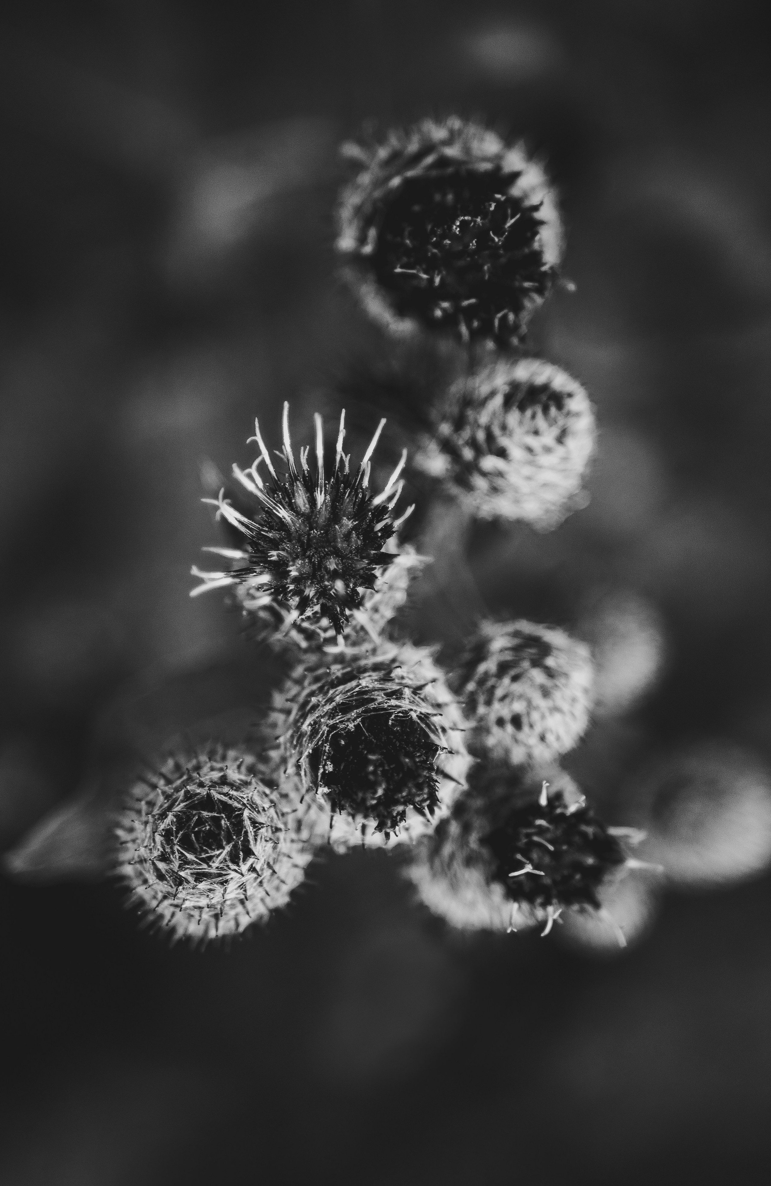 Жизнь. Фотограф Алматы | Весь мир — Никита Колодин