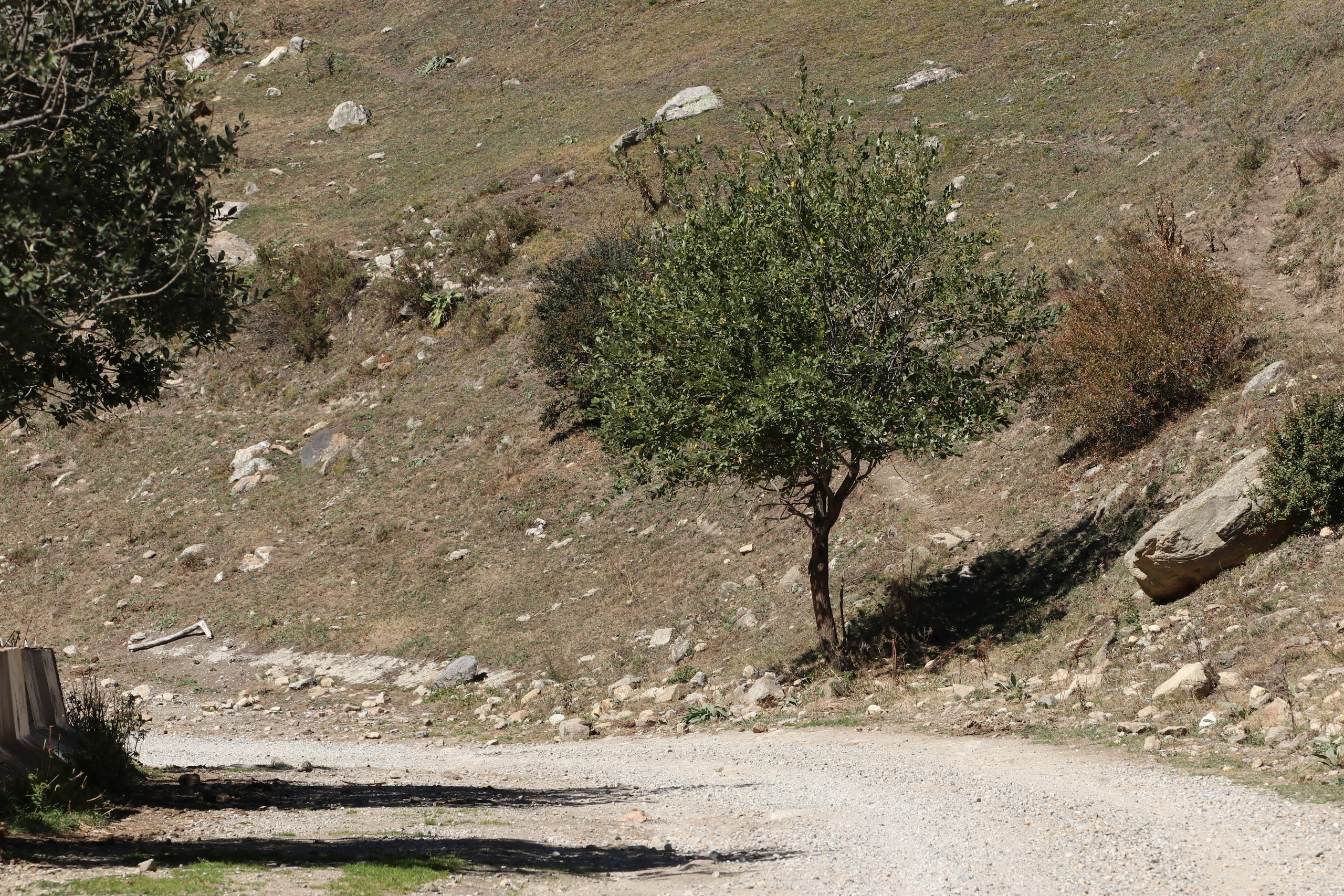 Приэльбрусье. Сентябрь 2023. Путешественник-фотограф из Санкт-Петербурга Татьяна Свистулина