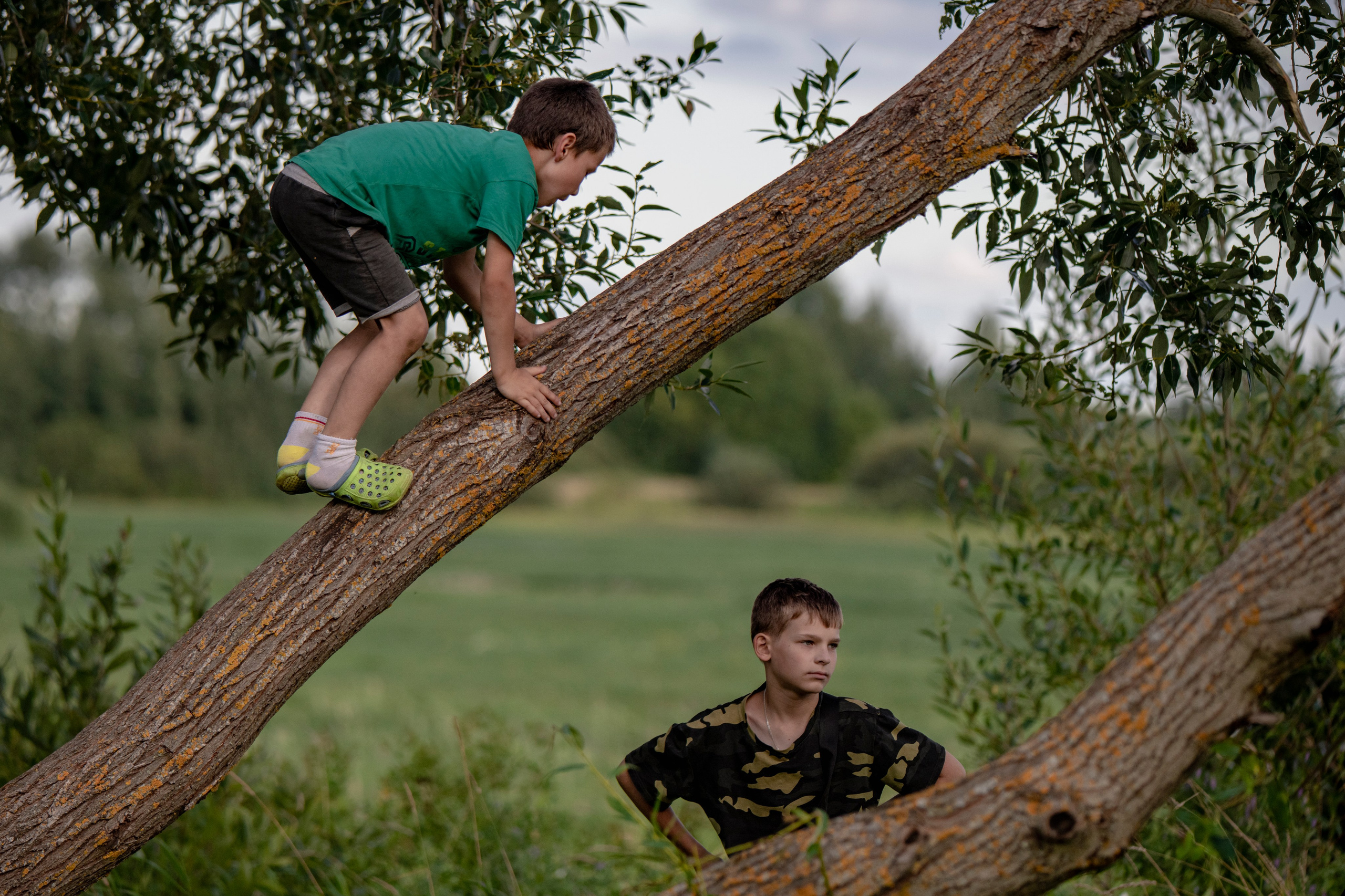Цветные фотографии. Фотографии Лены Соколовой