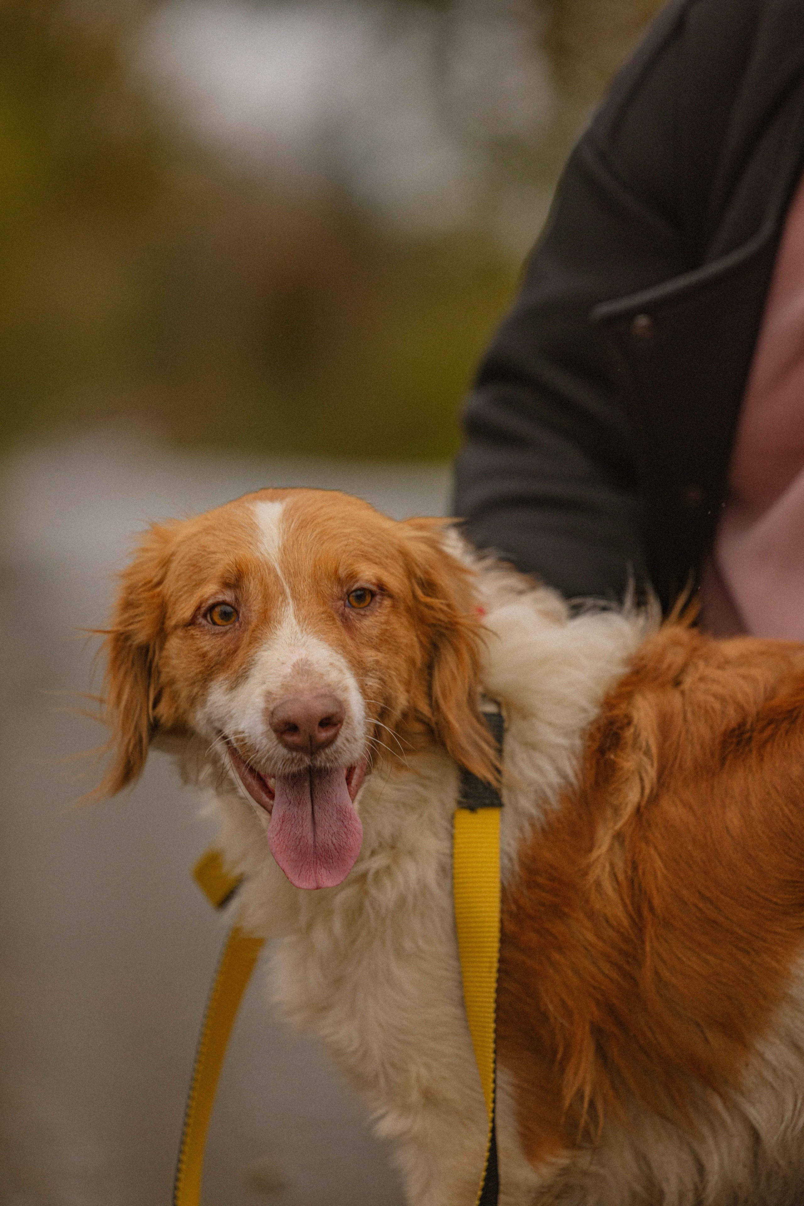 Передержка. Фотограф-анималист в Москве Лера Черноног
