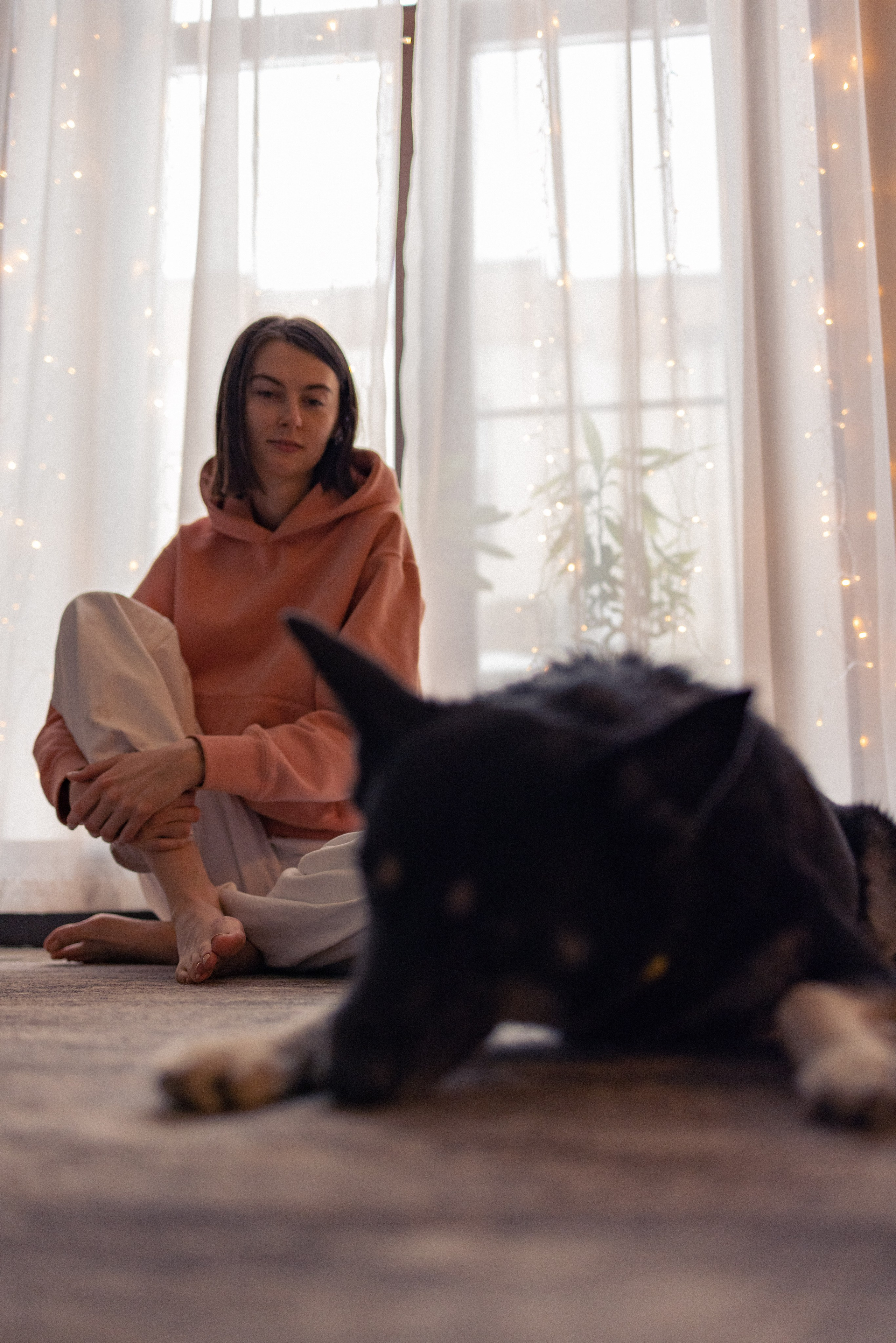 Ника, Матиша и Герда. Фотограф-анималист в Москве Лера Черноног