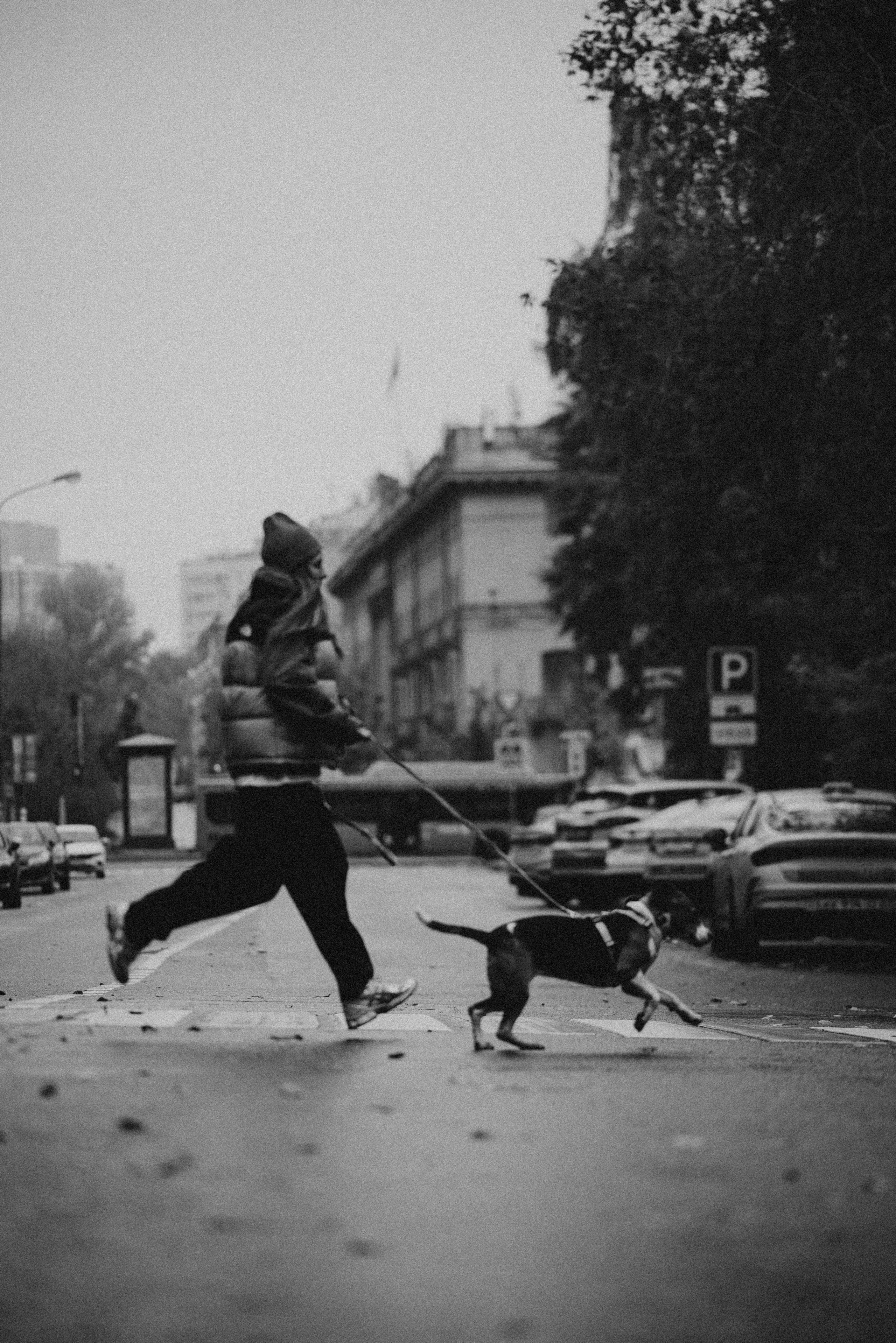 Света и Ива. Фотограф-анималист в Москве Лера Черноног