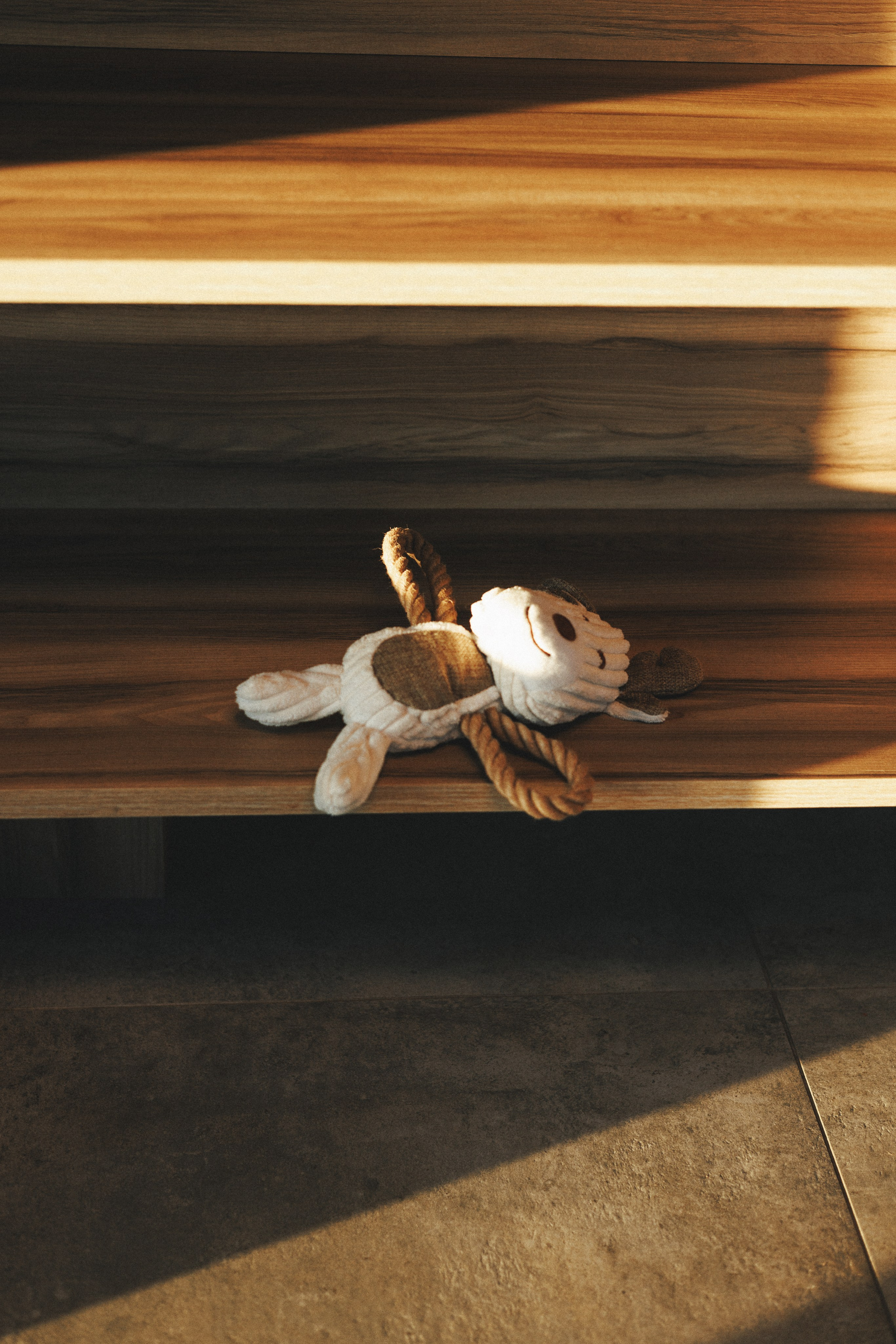 M-Pets. Фотограф анималист Осипчикова Мария