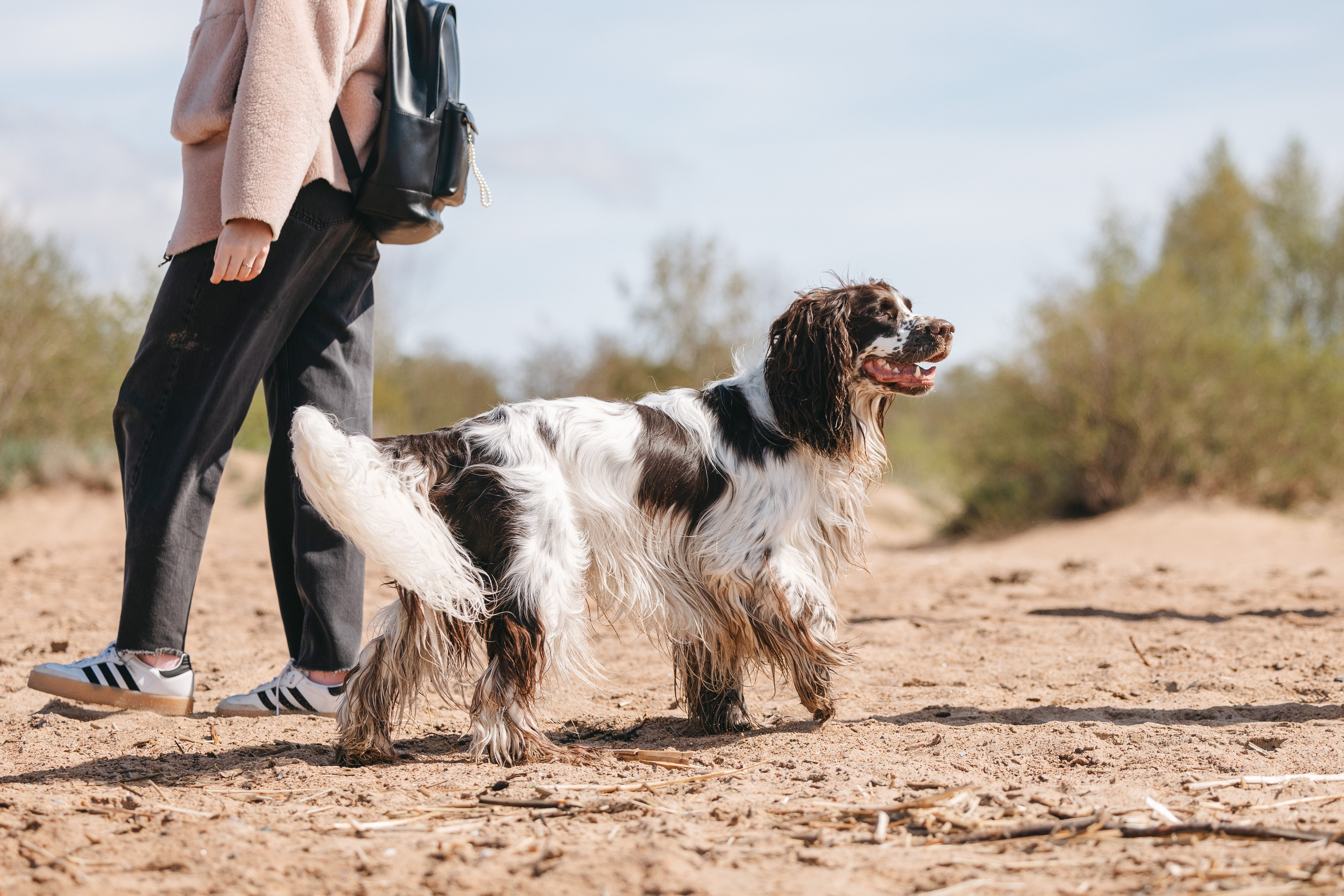Спанимания. Фотограф анималист Осипчикова Мария