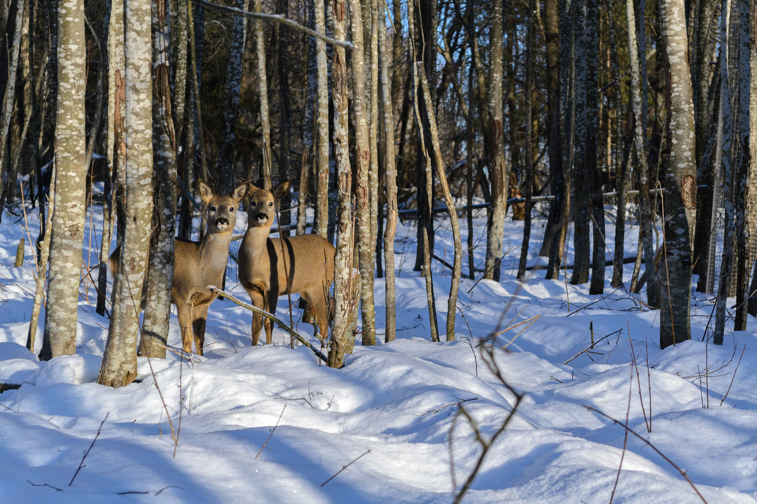 Пейзаж и городские съёмки. Семейный, уличный и пейзажный фотограф в Москве Никифоров Виктор