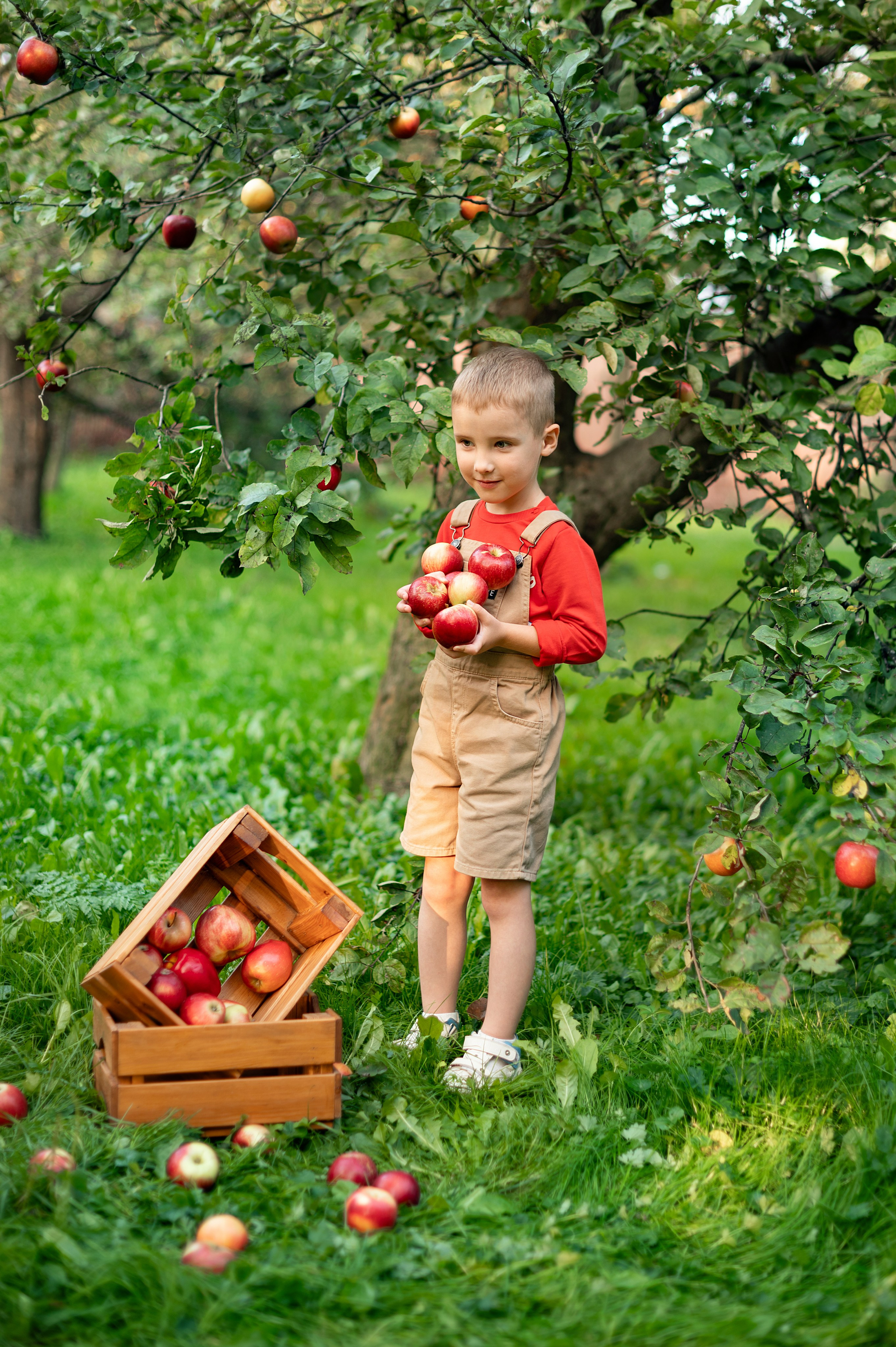 Яблоки. Детский и семейный фотограф г. Москва Оксана Катаджи