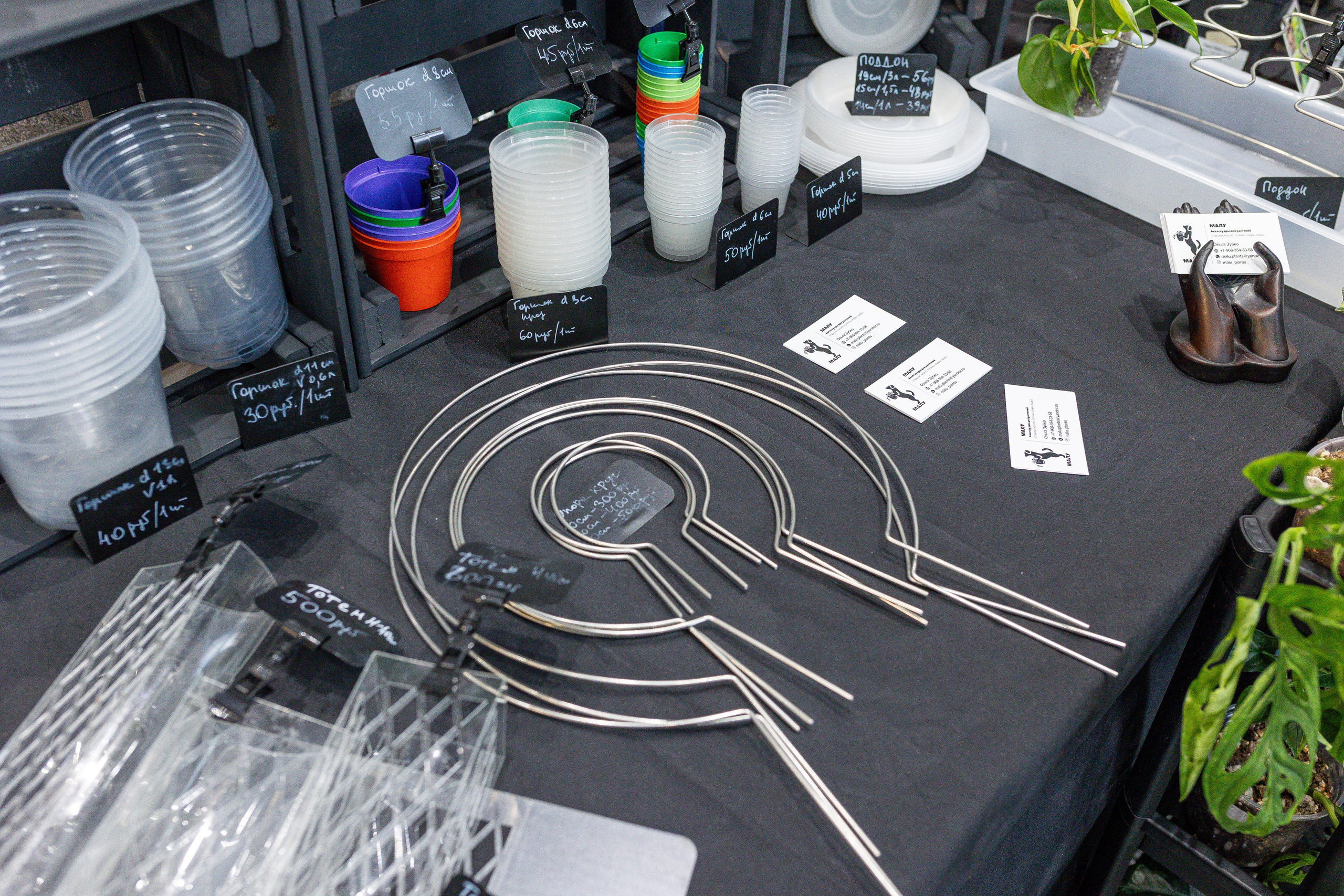 Монстериум апрель 2025. Александра Куликова фотограф, Москва