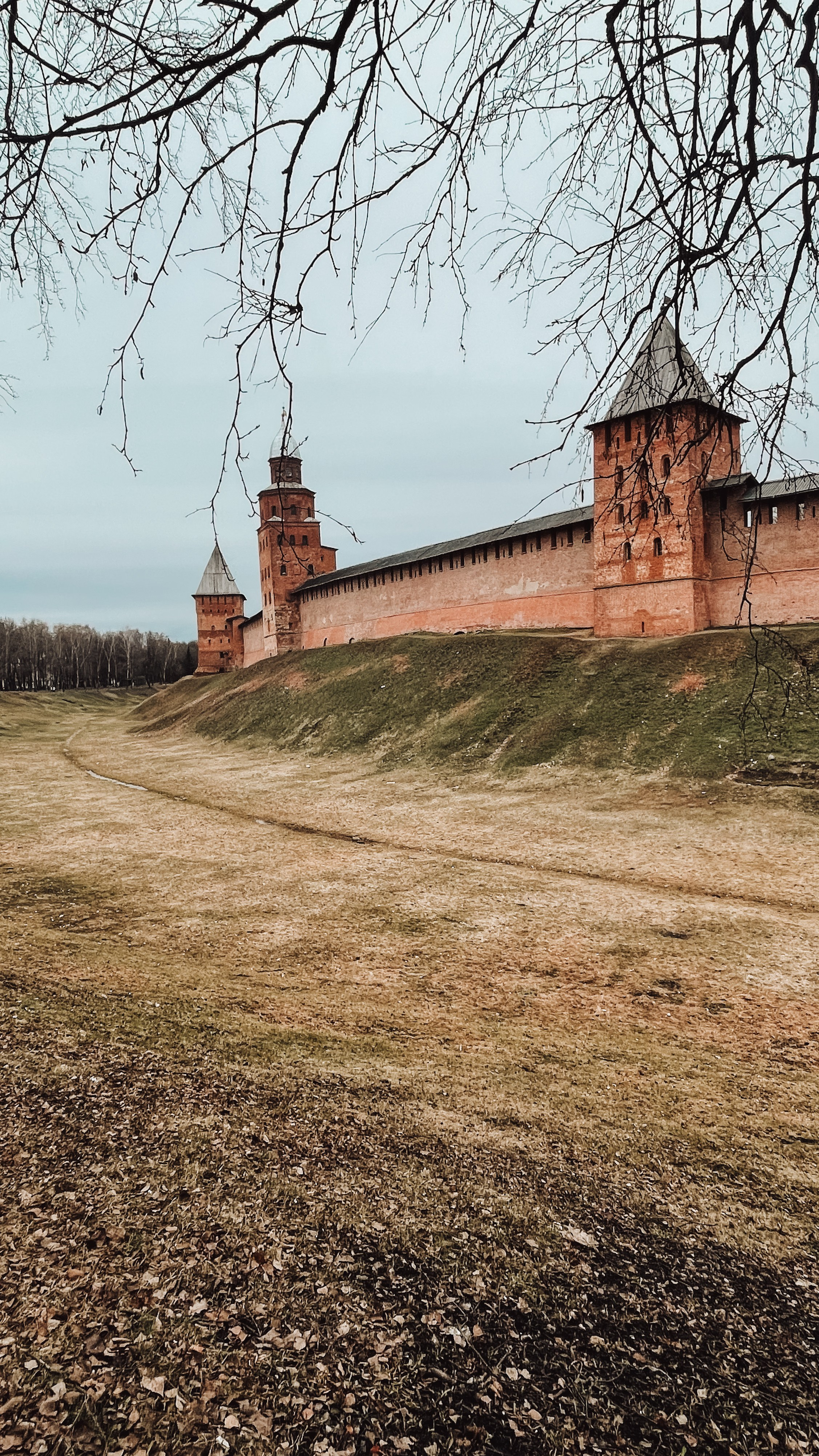 Пейзаж. Фотограф Олеся Шипихина г. Москва