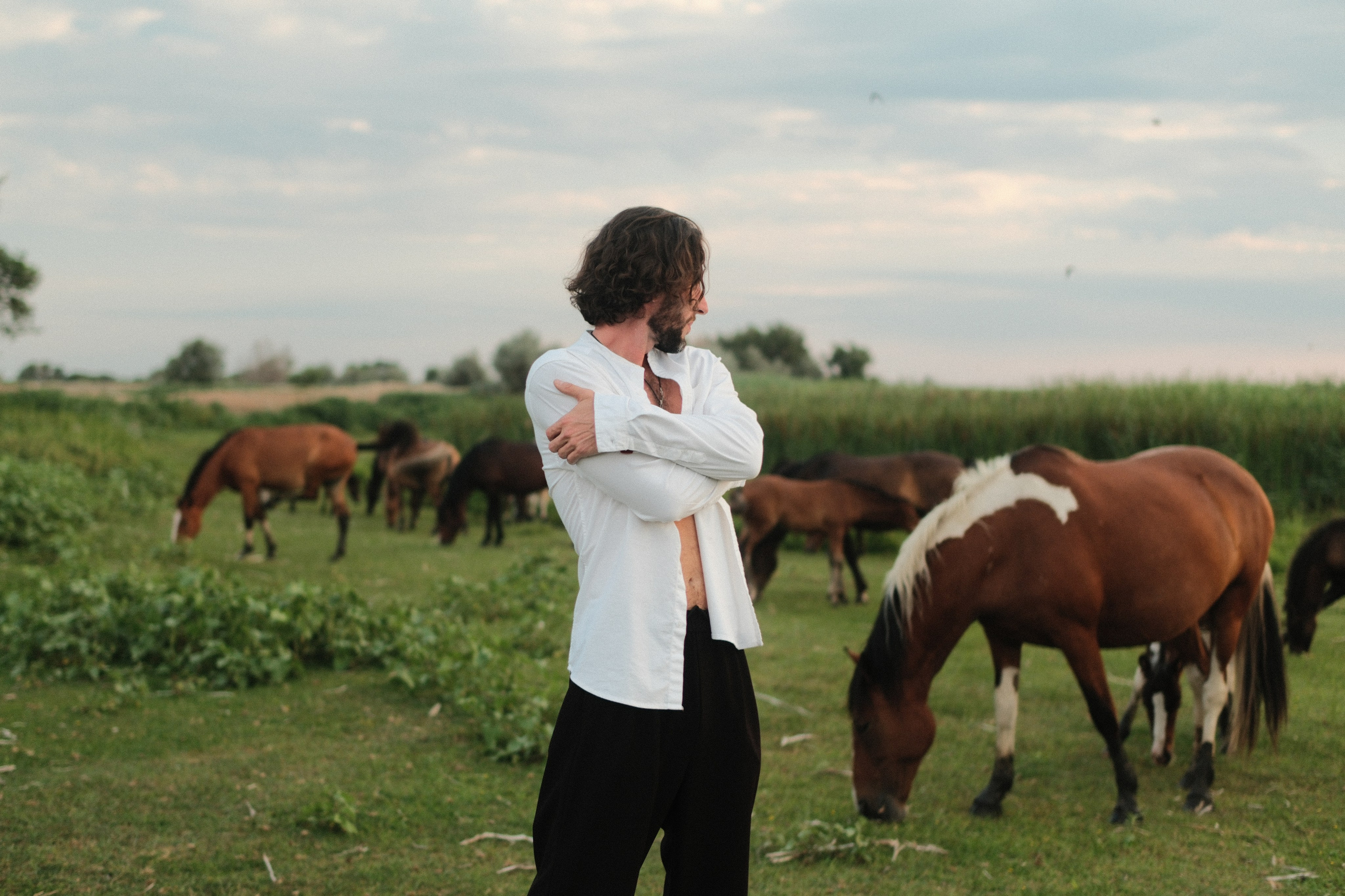 В поле с конём. Фотограф/Видеограф из Саратова