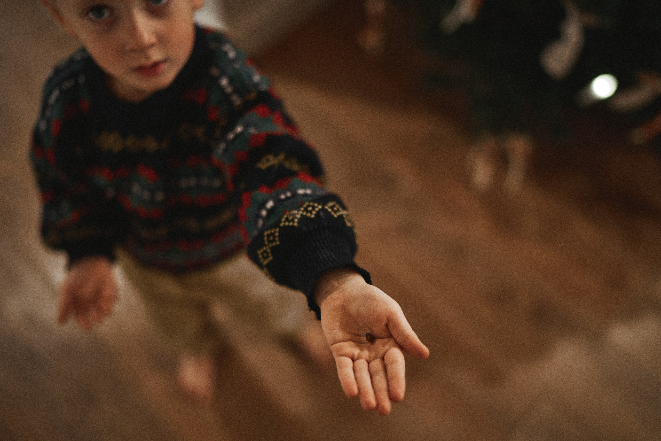 В ожидании Нового Года. Фотограф в Санкт-Петербурге | Аня Маленчук