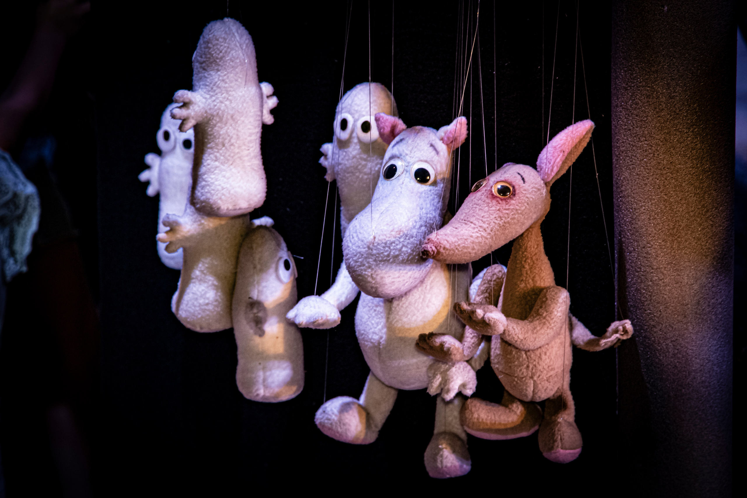 «Муми тролли и большое наводнение». Фотограф в Сочи Юрий Шептаев