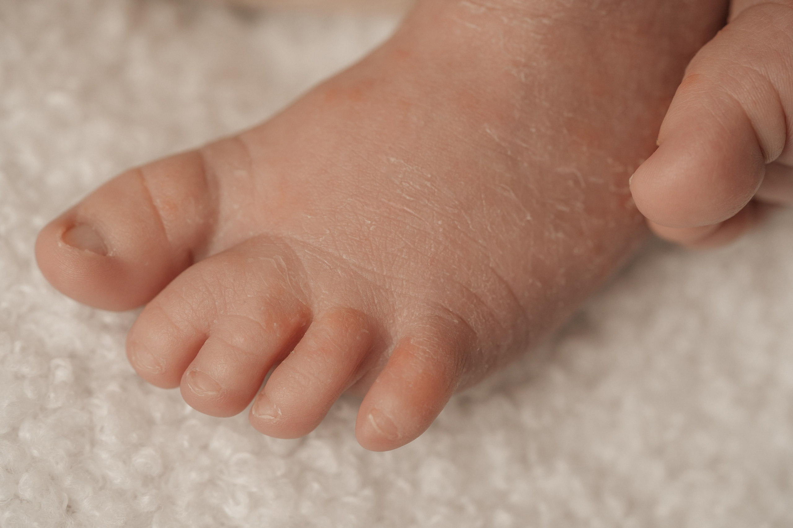 Newborn. Фотограф новорожденных в Москве, Зеленограде, МО, Дмитриева Дарья