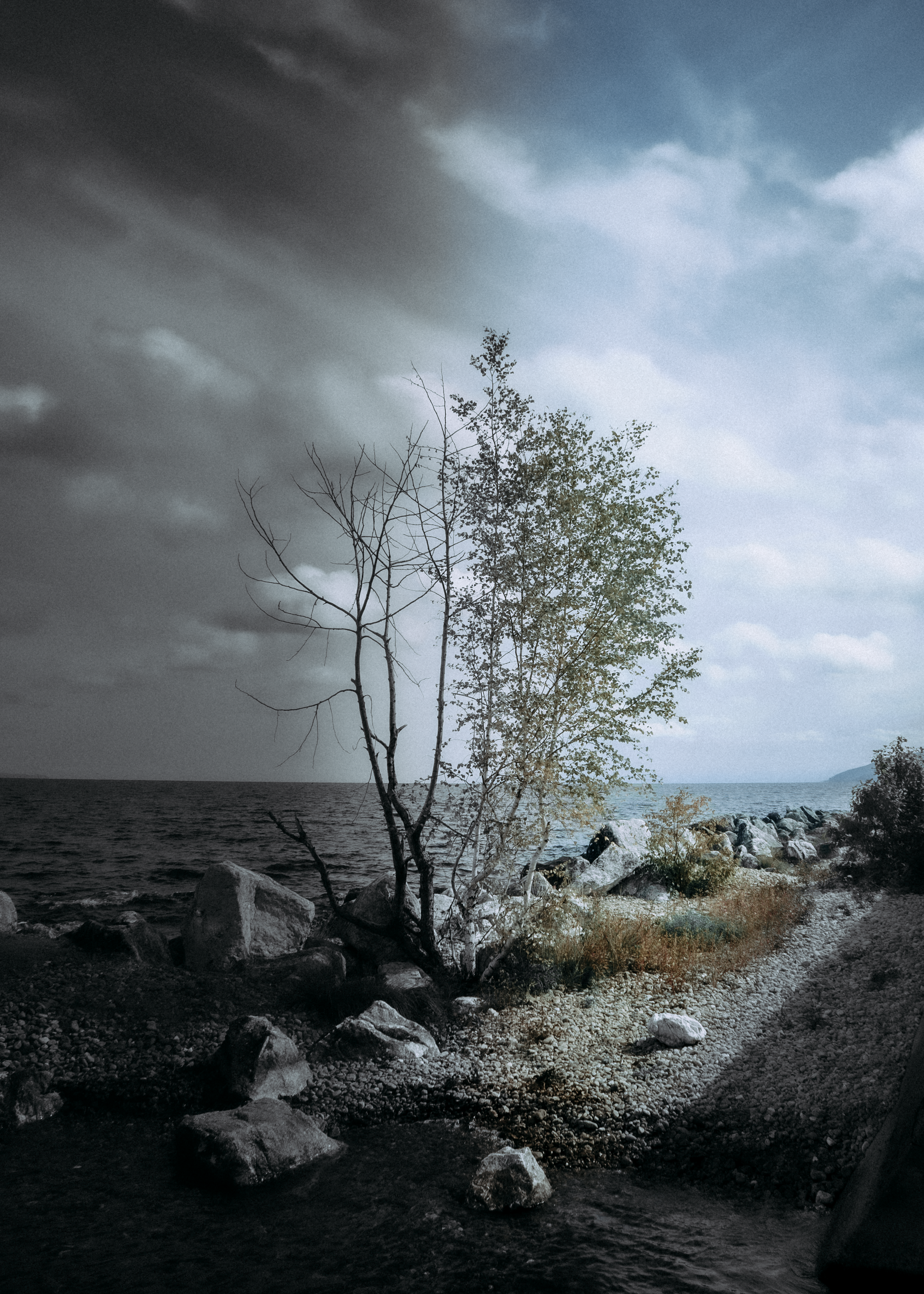 Gallery / Галерея. Кир Анисин. Режиссер & фотограф