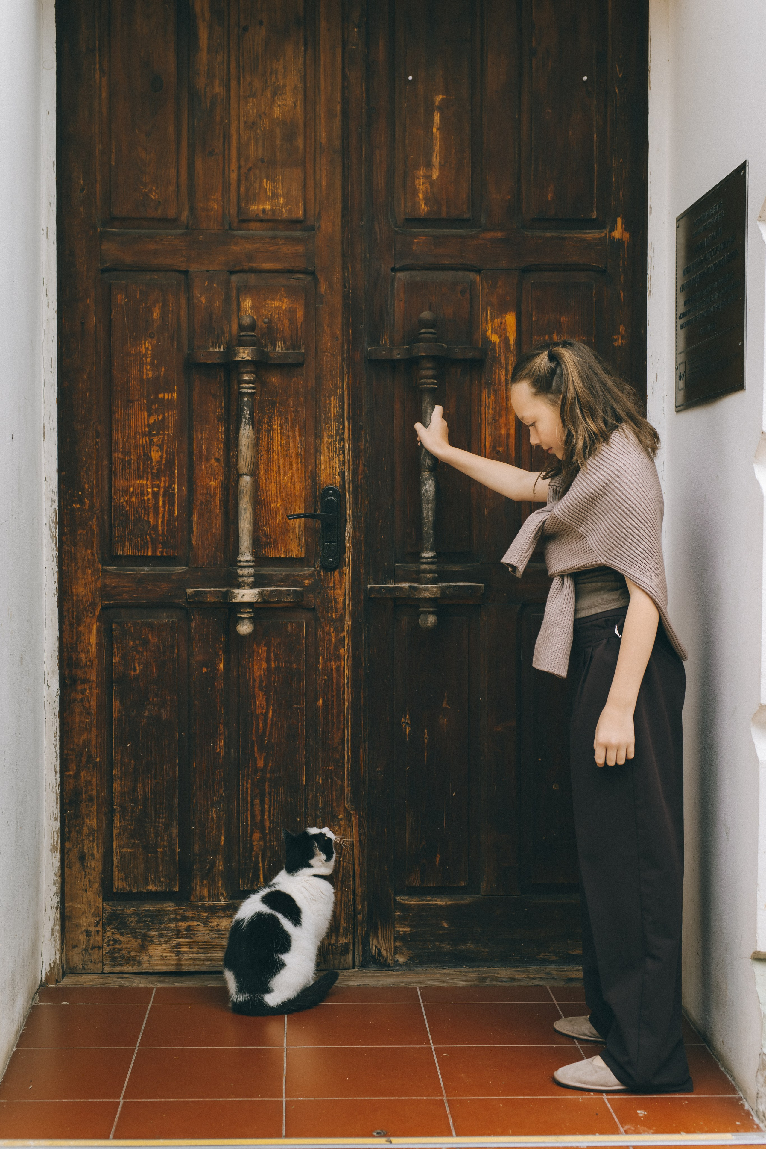 Коты Зеленоградска. Фотограф Зеленоградск Красильникова Елена