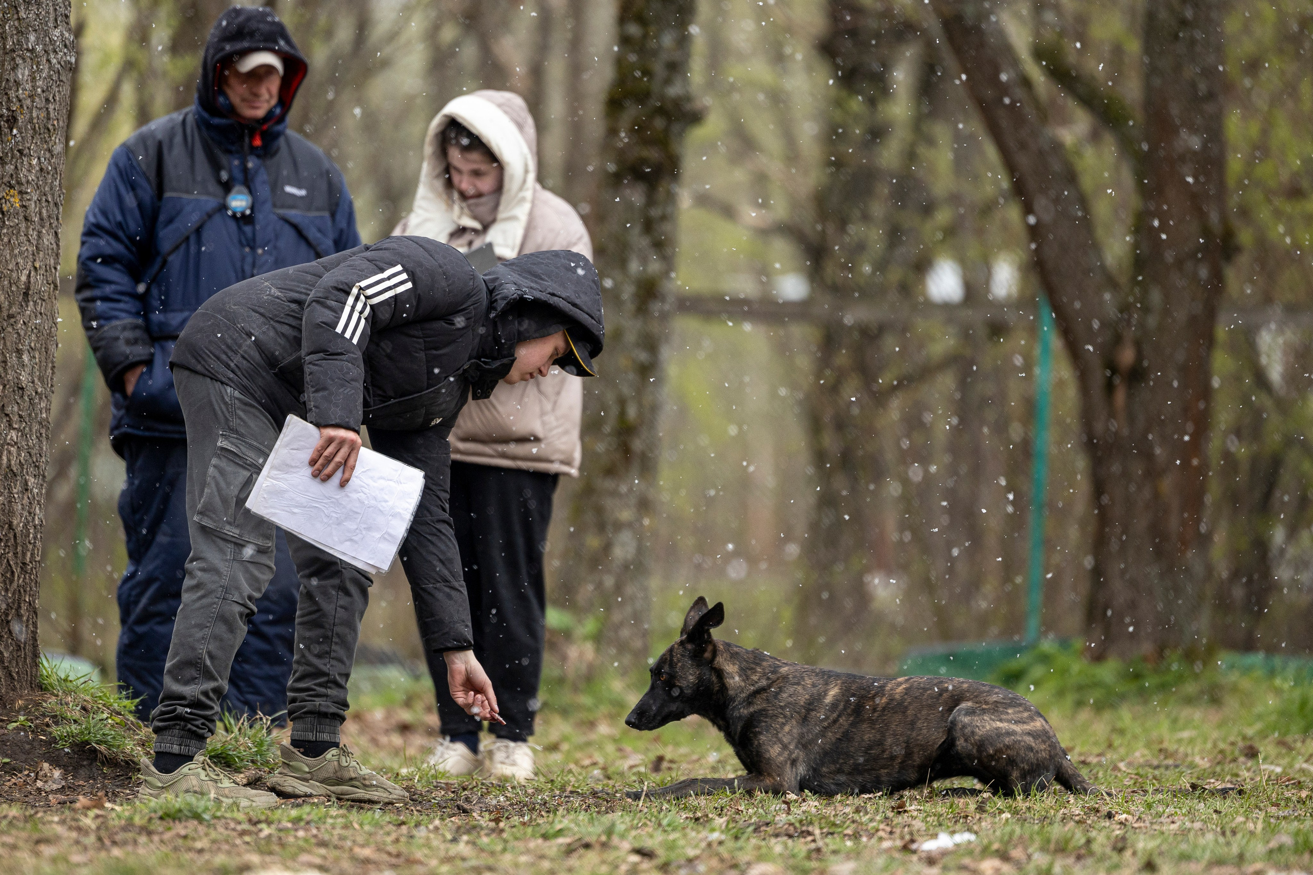 Квалификационные состязания по мондьорингу г. Вологда 11.05.24. Фотограф-анималист Анна Маринич