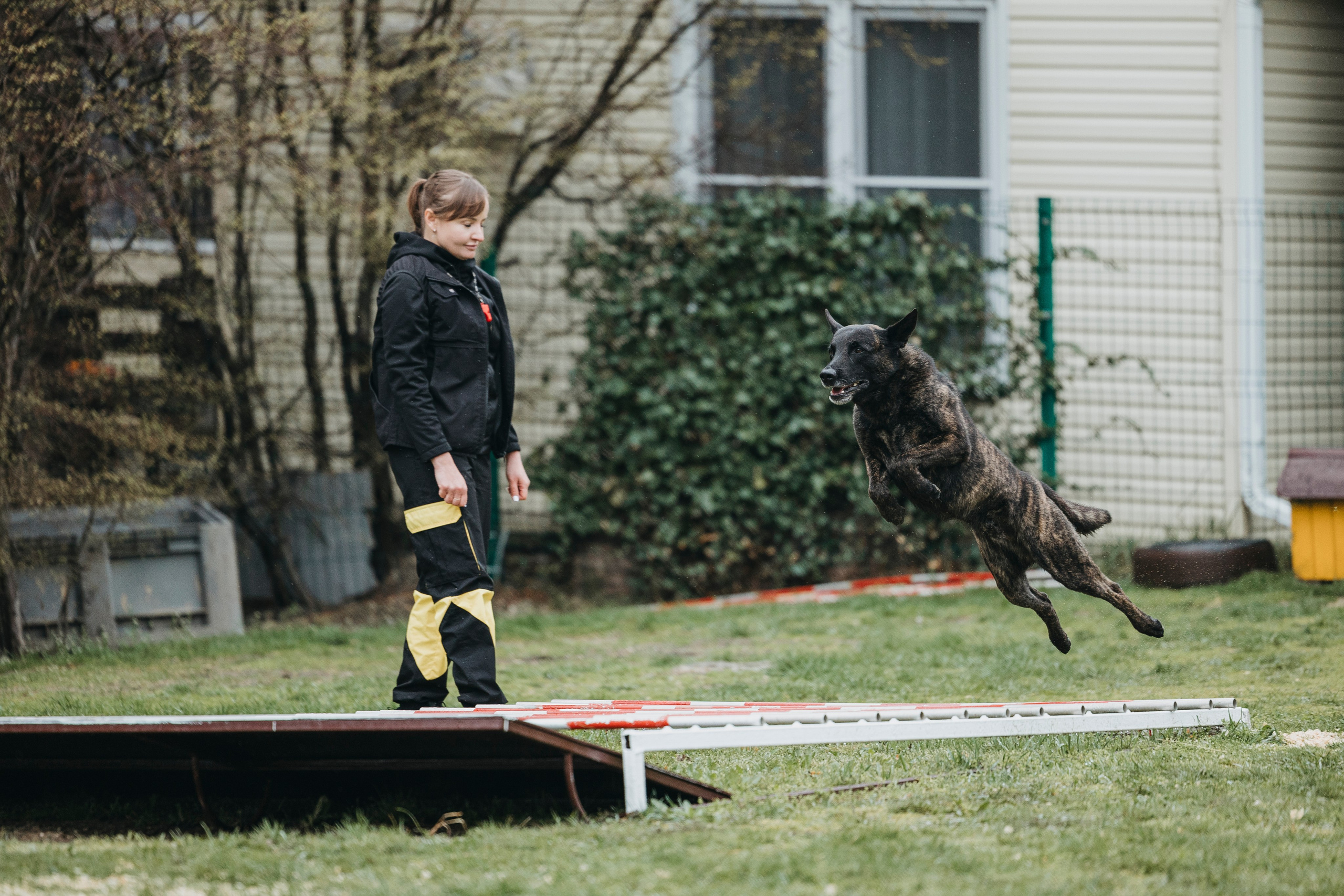 Геленджик Мондьоринг. Фотограф-анималист Анна Маринич