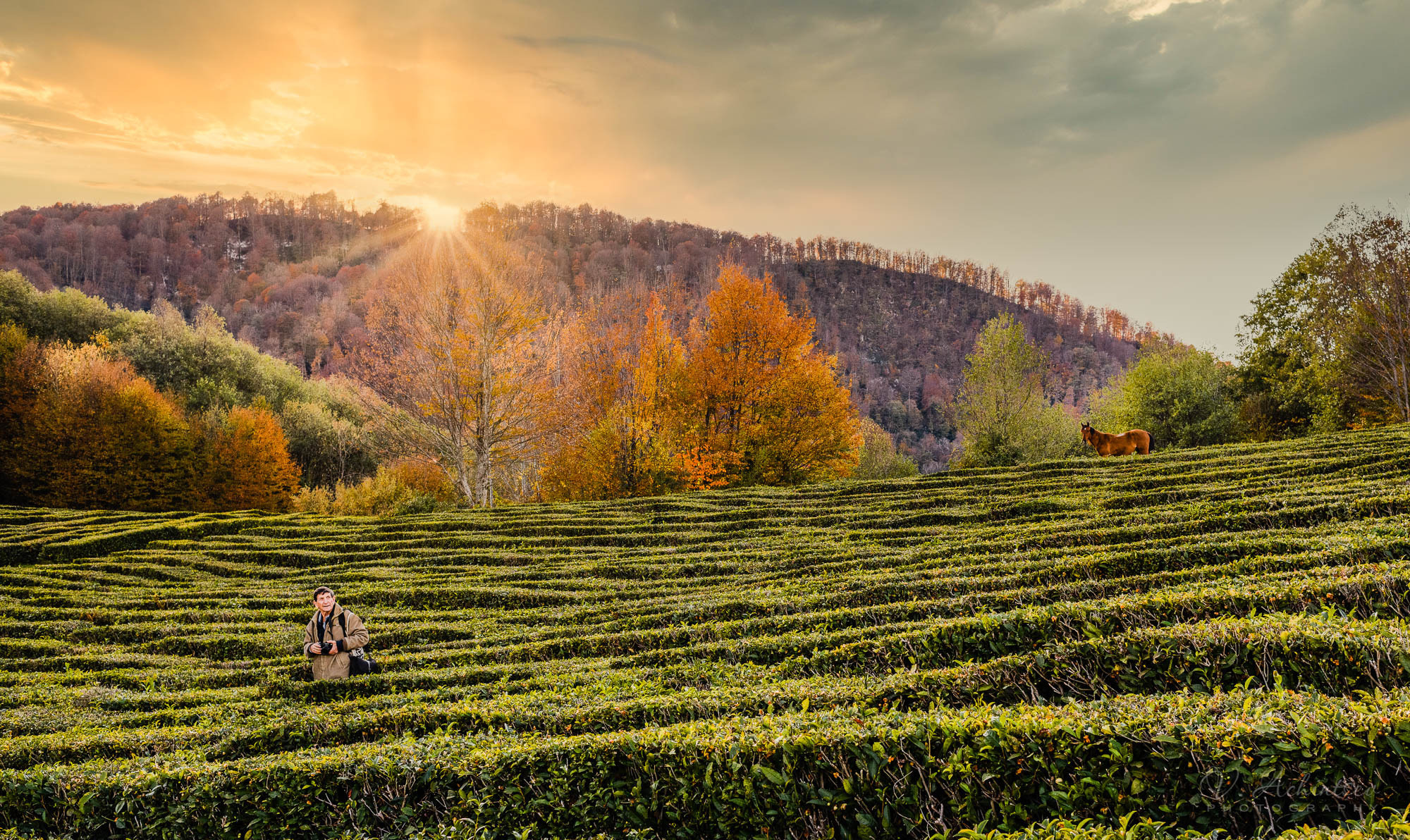 Разное. Фотограф в Сочи Владимир Ачинцев