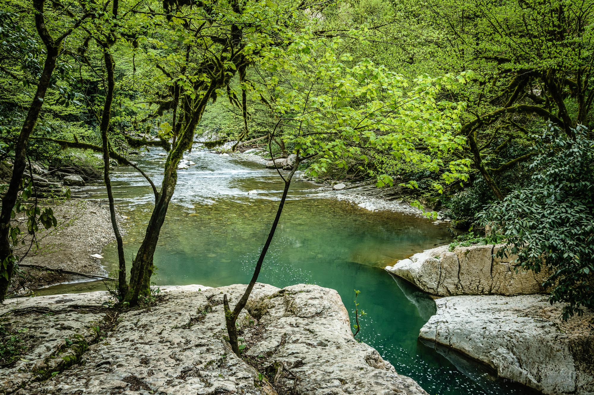 Разное. Фотограф в Сочи Владимир Ачинцев
