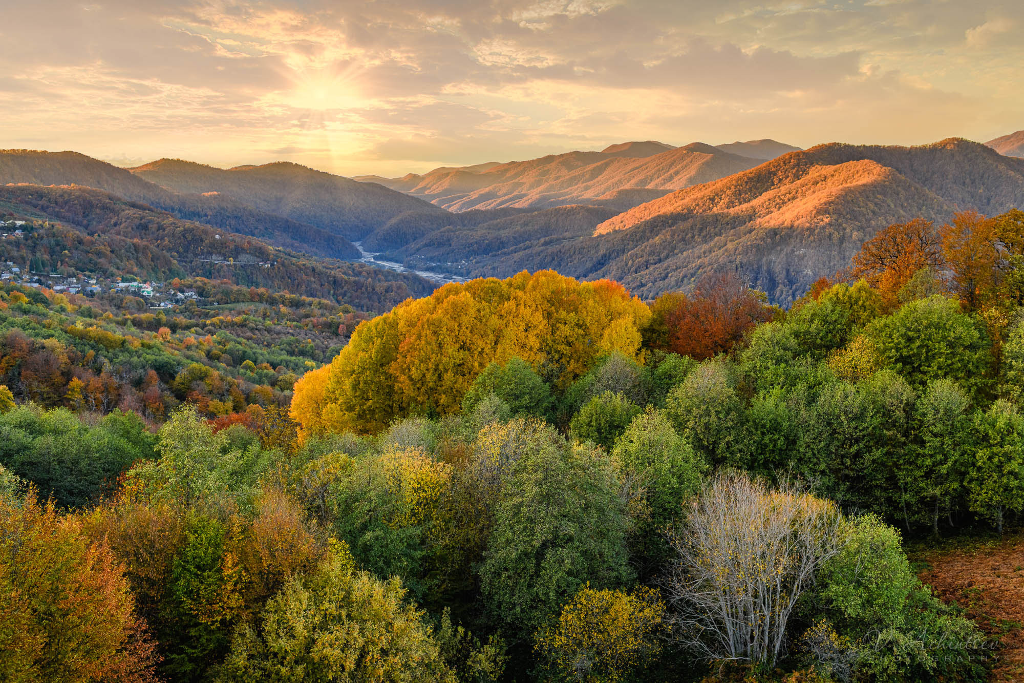 Разное. Фотограф в Сочи Владимир Ачинцев