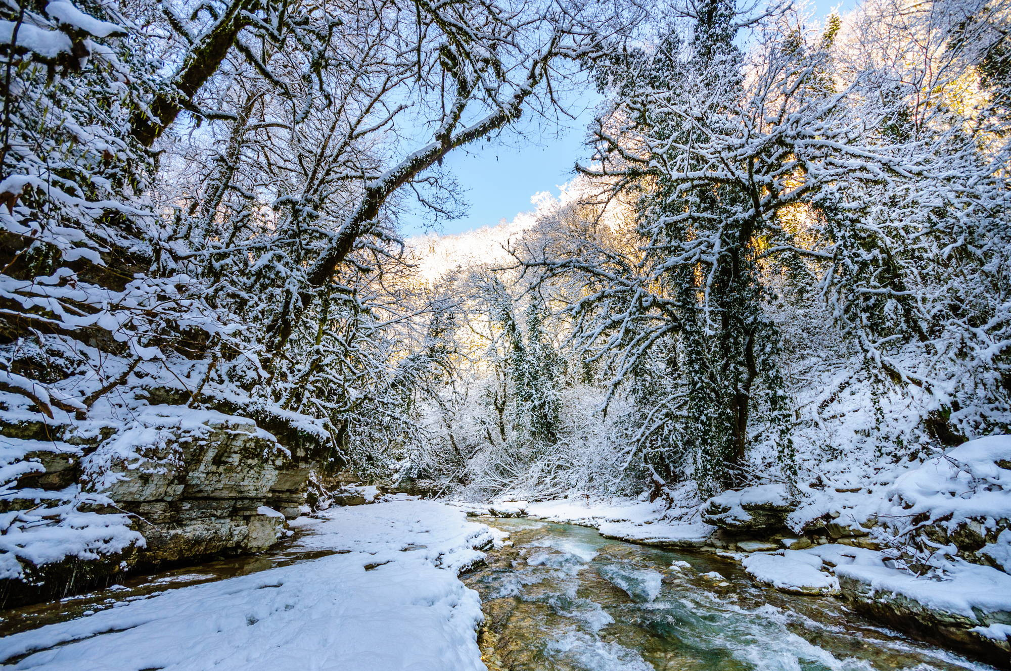 Разное. Фотограф в Сочи Владимир Ачинцев