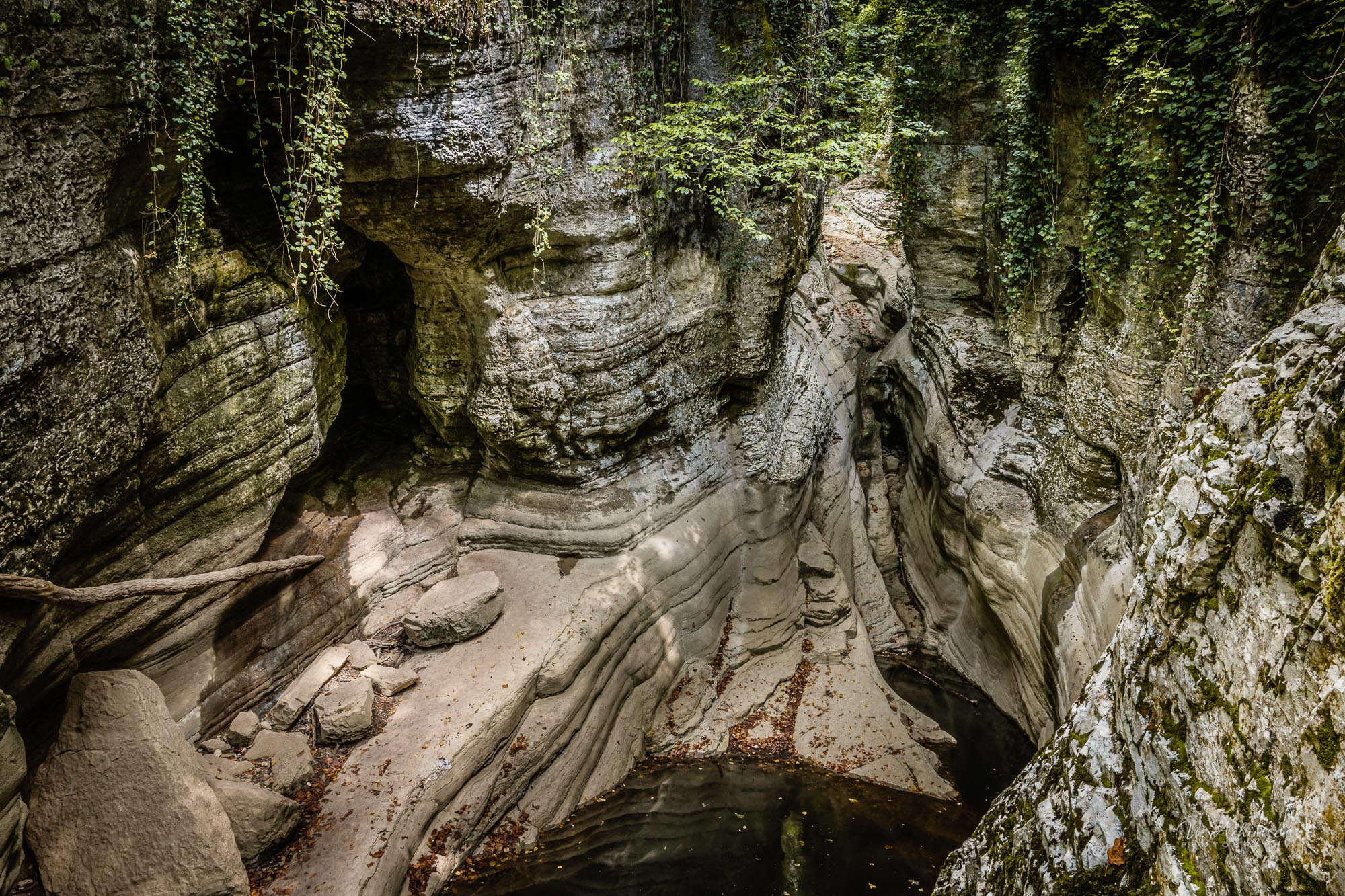 Разное. Фотограф в Сочи Владимир Ачинцев