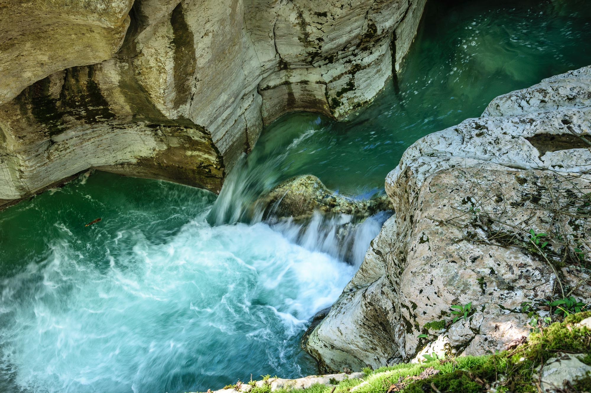 Разное. Фотограф в Сочи Владимир Ачинцев