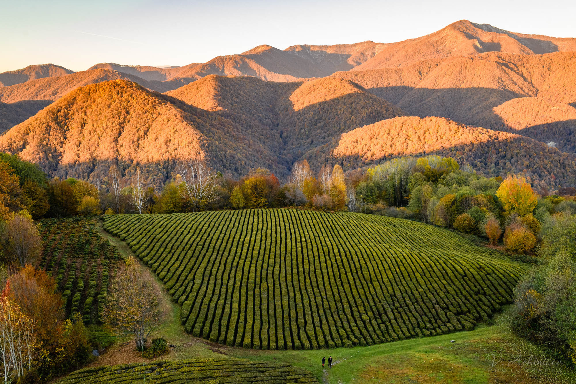 Разное. Фотограф в Сочи Владимир Ачинцев