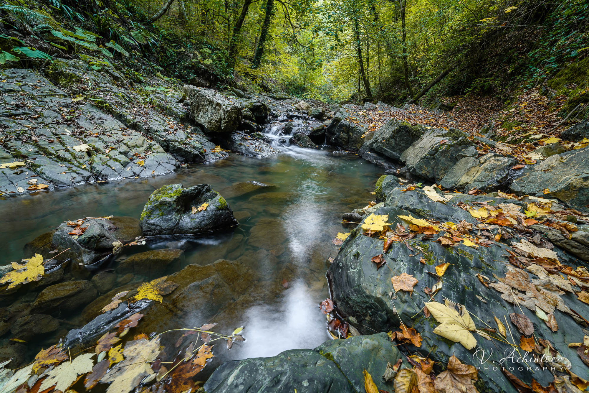 Разное. Фотограф в Сочи Владимир Ачинцев