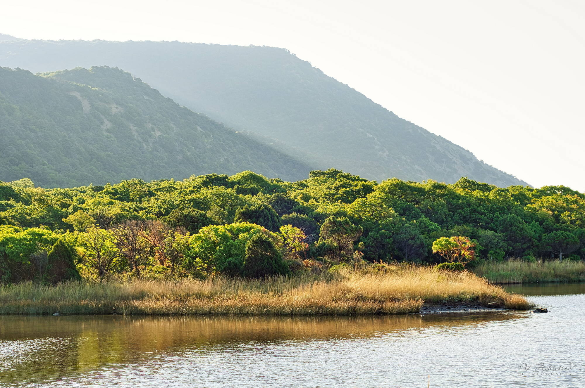 Разное. Фотограф в Сочи Владимир Ачинцев