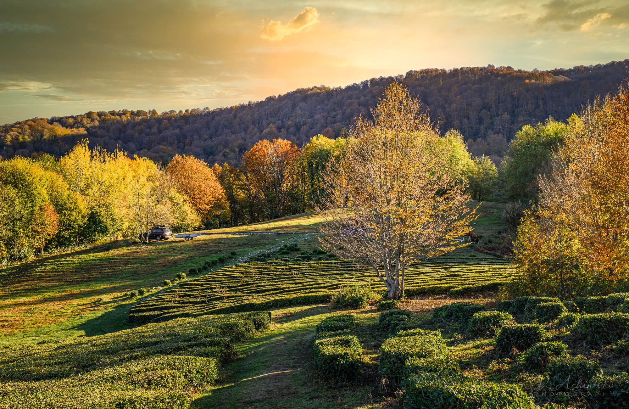 Разное. Фотограф в Сочи Владимир Ачинцев