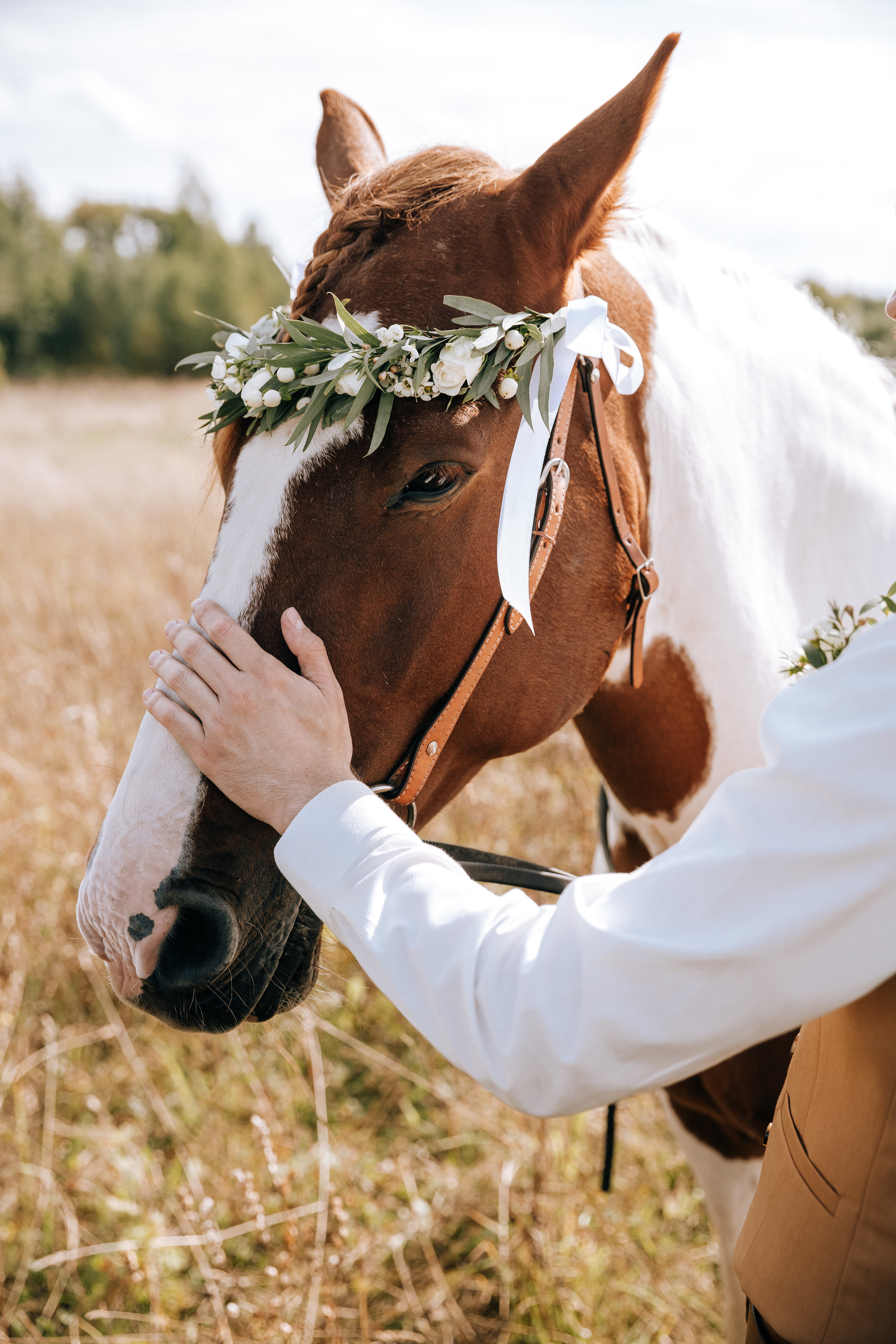 Свадьба Аня + Лёша. Свадебный фотограф Ярославль, Рыбинск