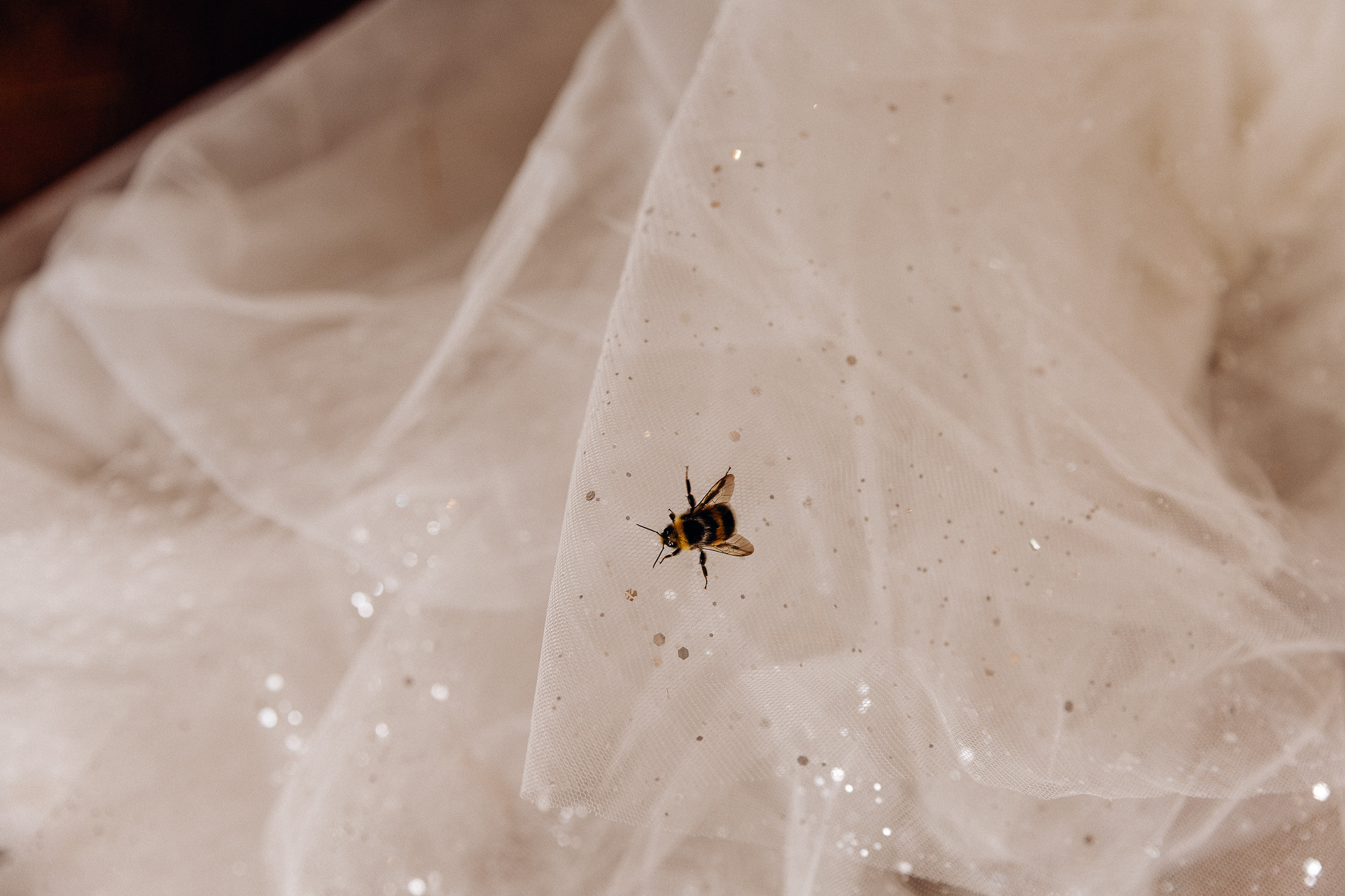 Свадьба Лида + Валерий. Свадебный фотограф Ярославль, Рыбинск