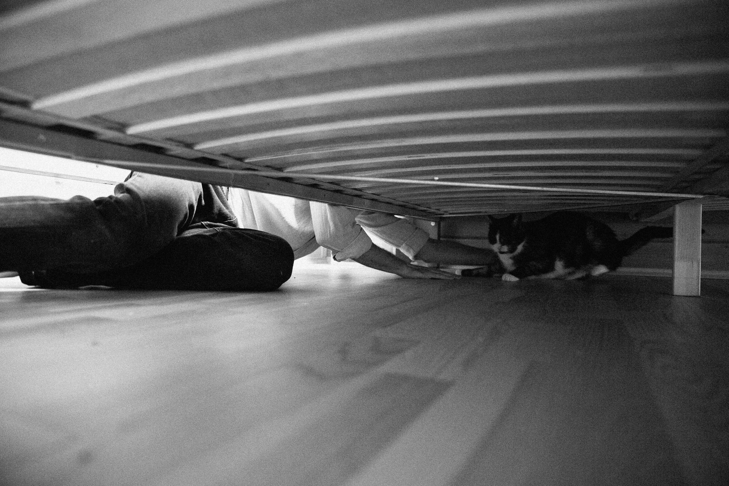 Свадьба Аня + Лёша. Свадебный фотограф Ярославль, Рыбинск