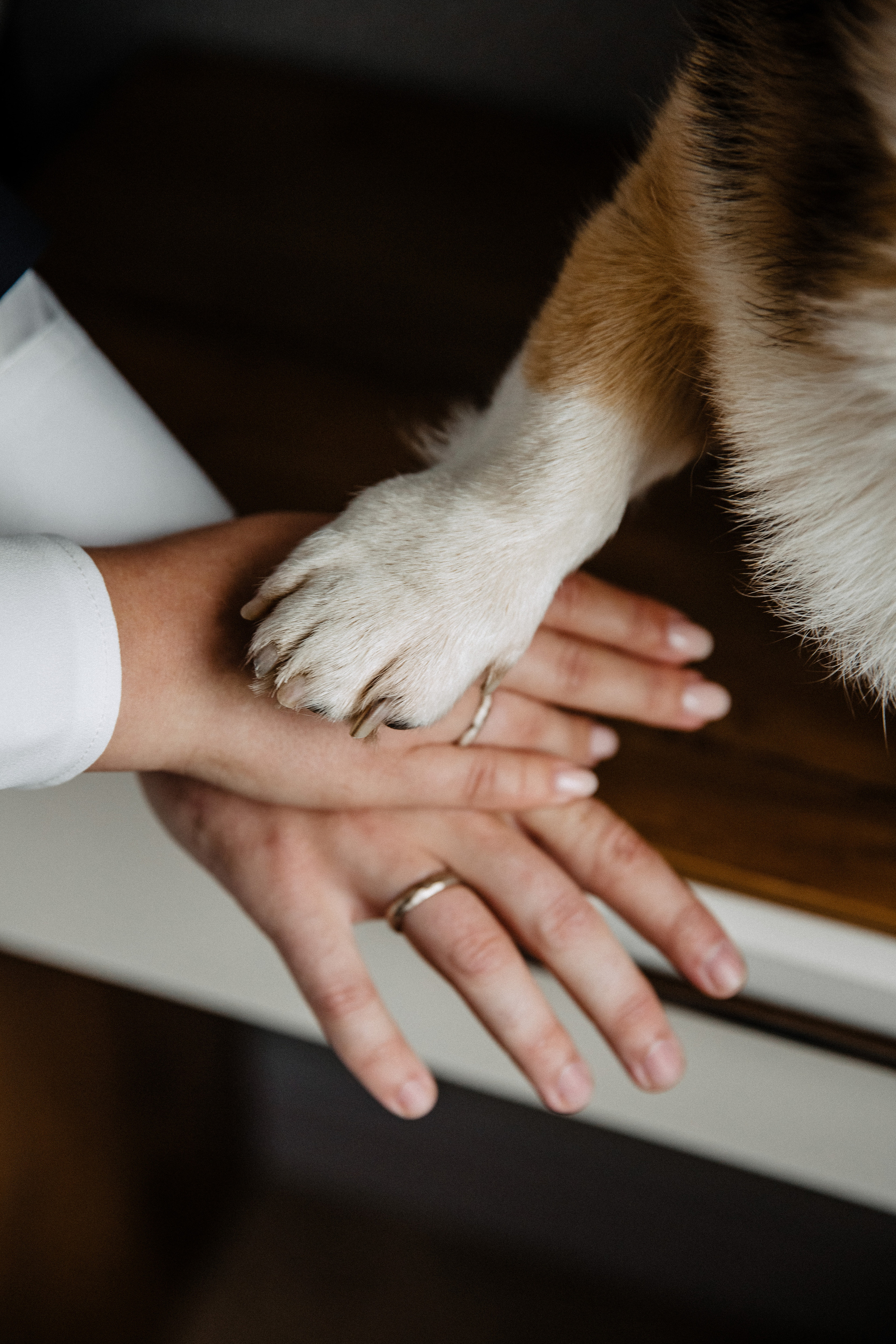 Свадьба Катя + Лёша. Свадебный фотограф Ярославль, Рыбинск