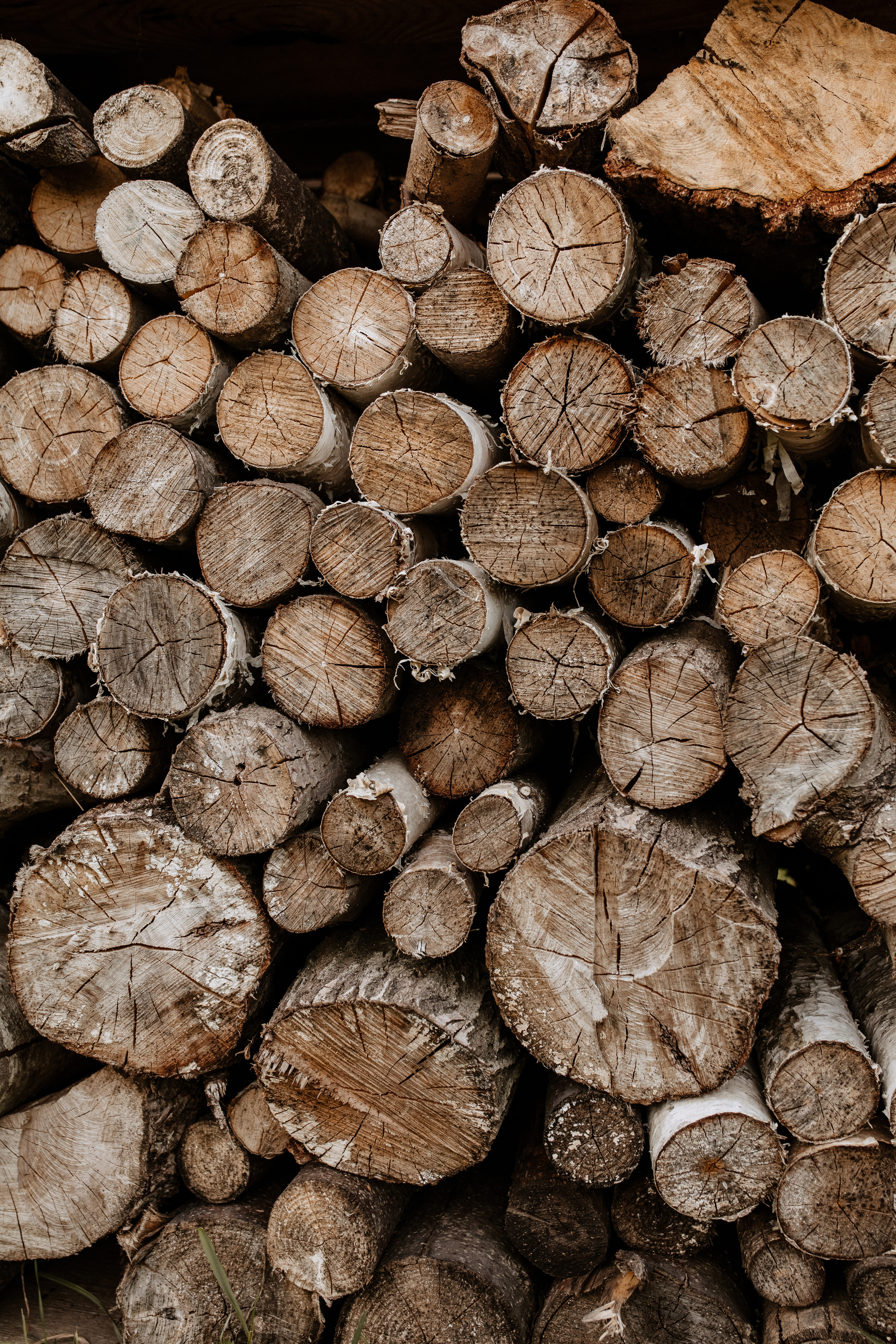 Свадьба Аня + Лёша. Свадебный фотограф Ярославль, Рыбинск