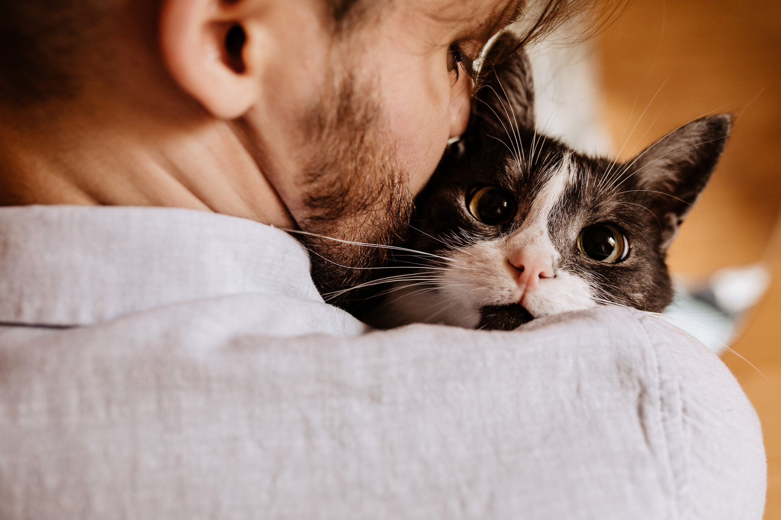 Свадьба Аня + Лёша. Свадебный фотограф Ярославль, Рыбинск