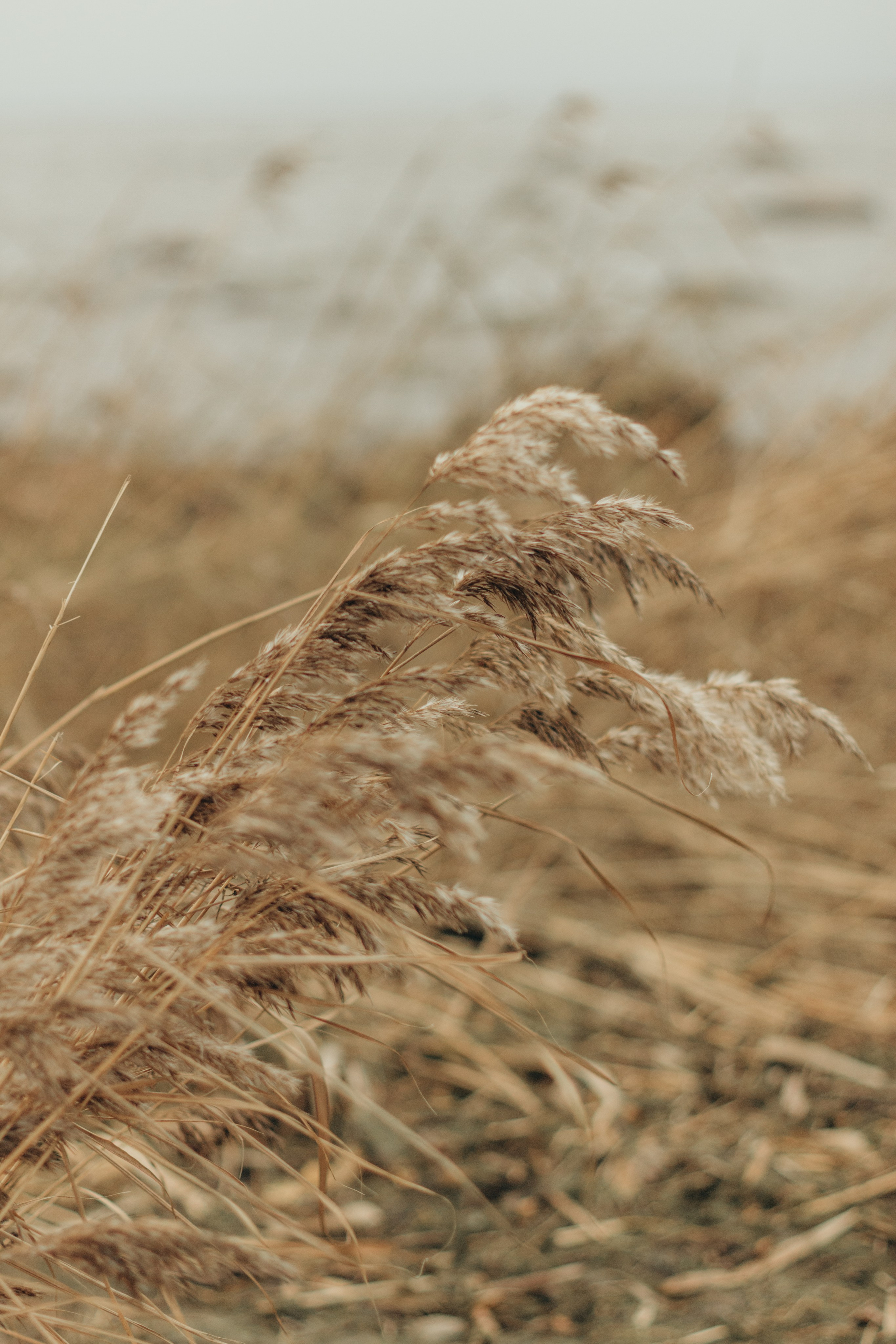 На краю света. Семейный и детский фотограф в Санкт-Петербурге — Лаврова Ольга